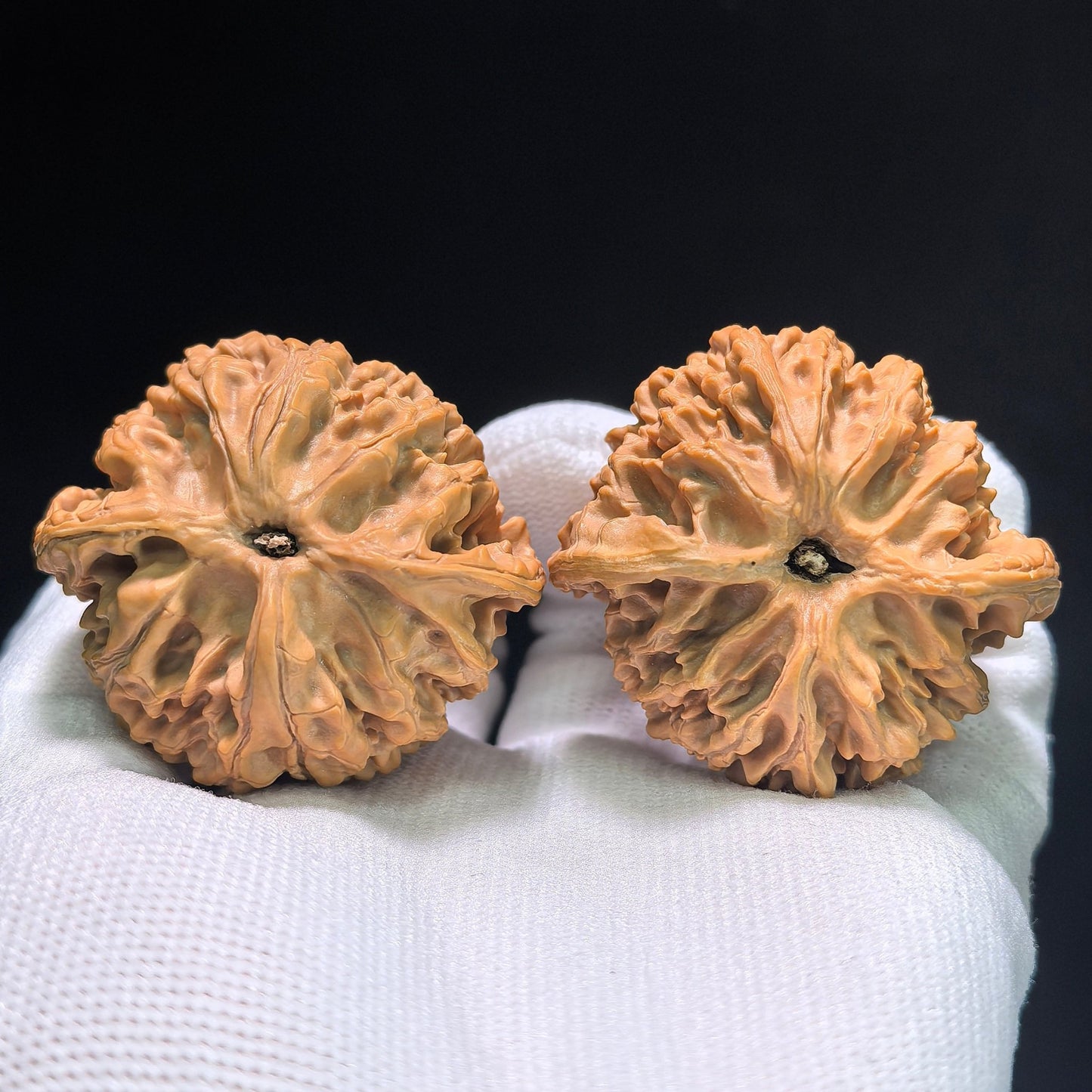The Premier "Apple Orchard" (Ping Guo Yuan) Ultra-Squat Pair | Boutique Grade | 44.0mm x 37.0mm | PGY-403 - ThePatinaProject