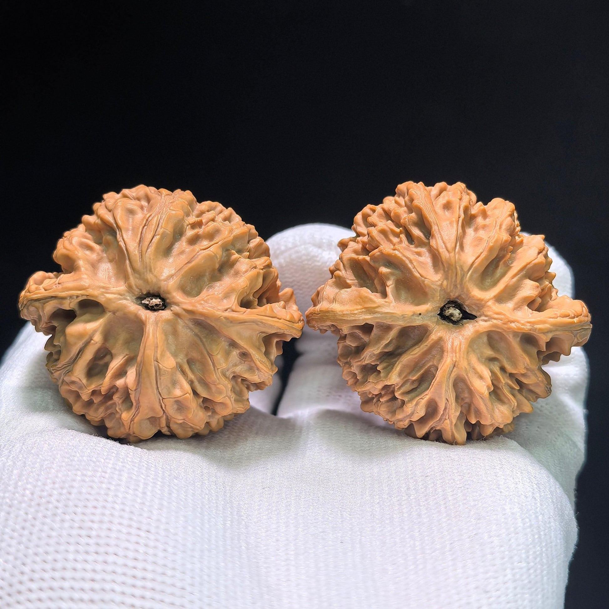The Premier "Apple Orchard" (Ping Guo Yuan) Ultra-Squat Pair | Boutique Grade | 44.0mm x 37.0mm | PGY-403 - ThePatinaProject