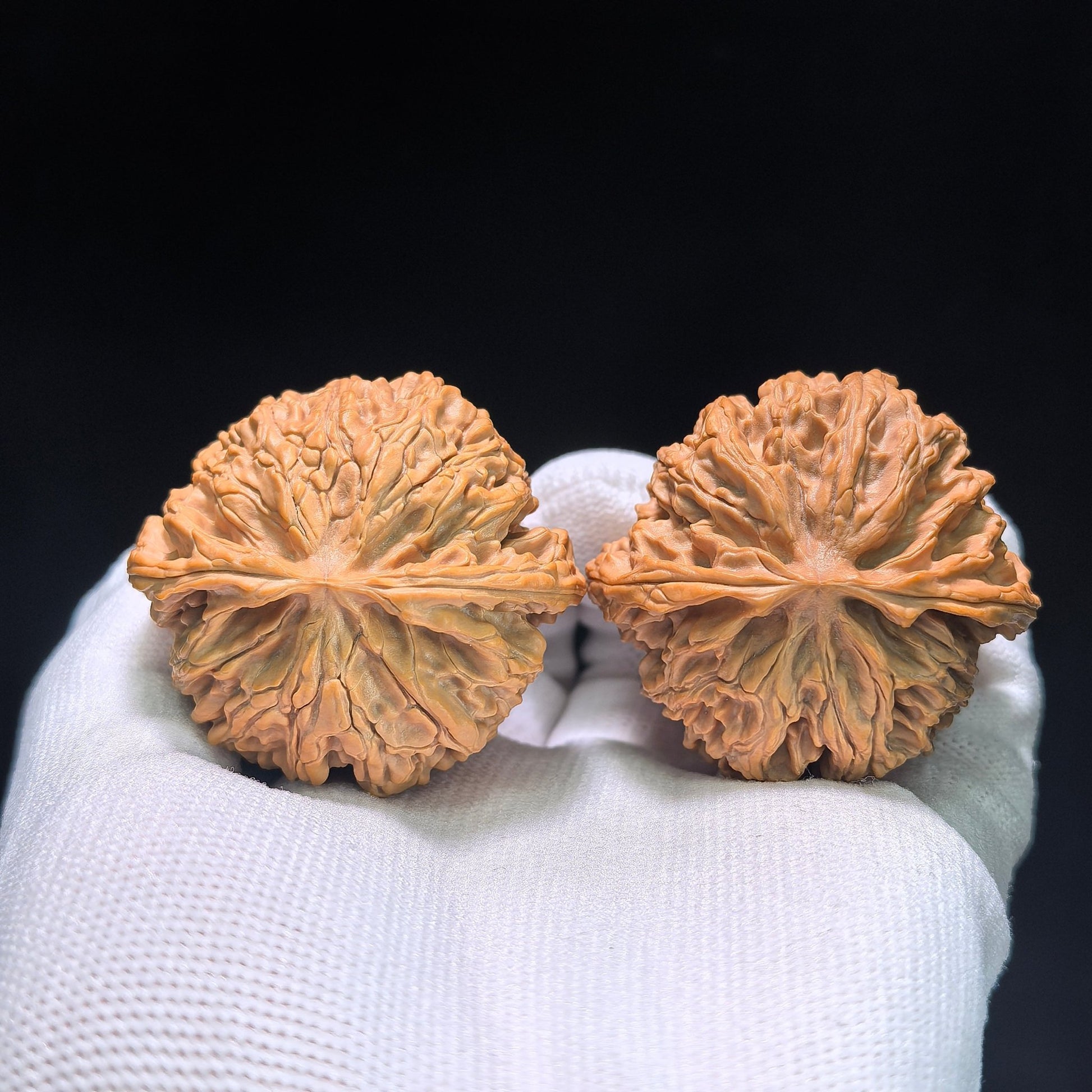 The Premier "Apple Orchard" (Ping Guo Yuan) Ultra-Squat Pair | Boutique Grade | 44.0mm x 37.0mm | PGY-403 - ThePatinaProject