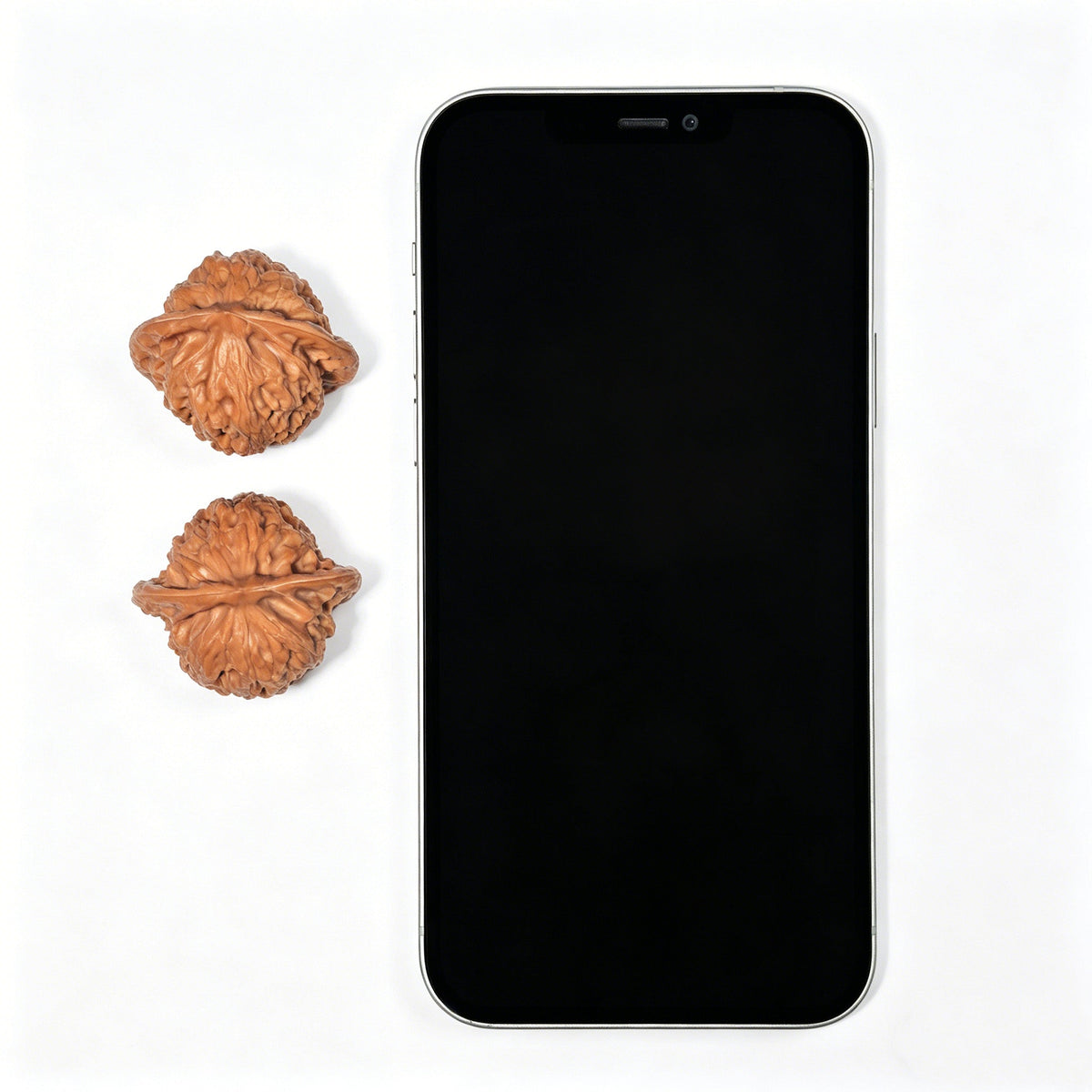 The "Prince's Hat" (Gongzi Mao) Matched Pair | 35.0mm x 31.0mm | GZM-1201C - ThePatinaProject