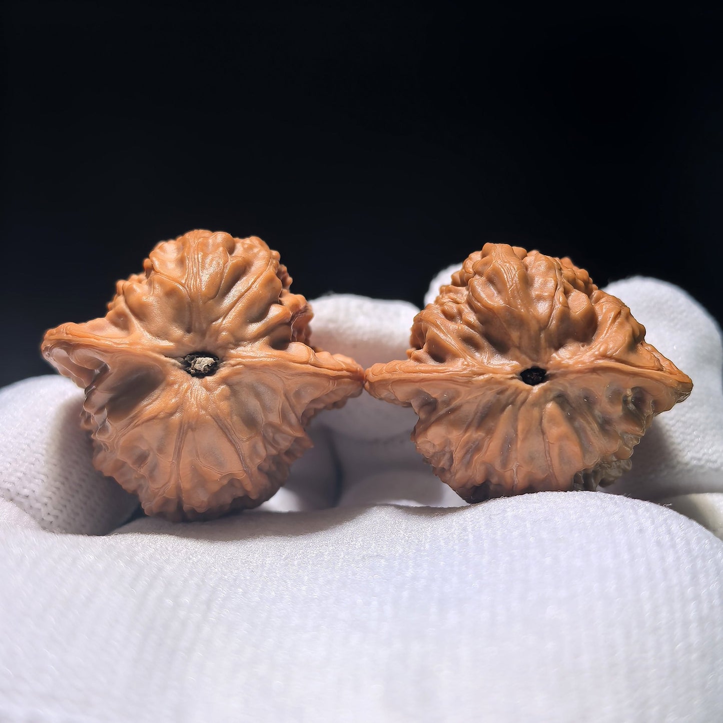 The "Prince's Hat" (Gongzi Mao) Matched Pair | 35.0mm x 31.0mm | GZM-1201C - ThePatinaProject