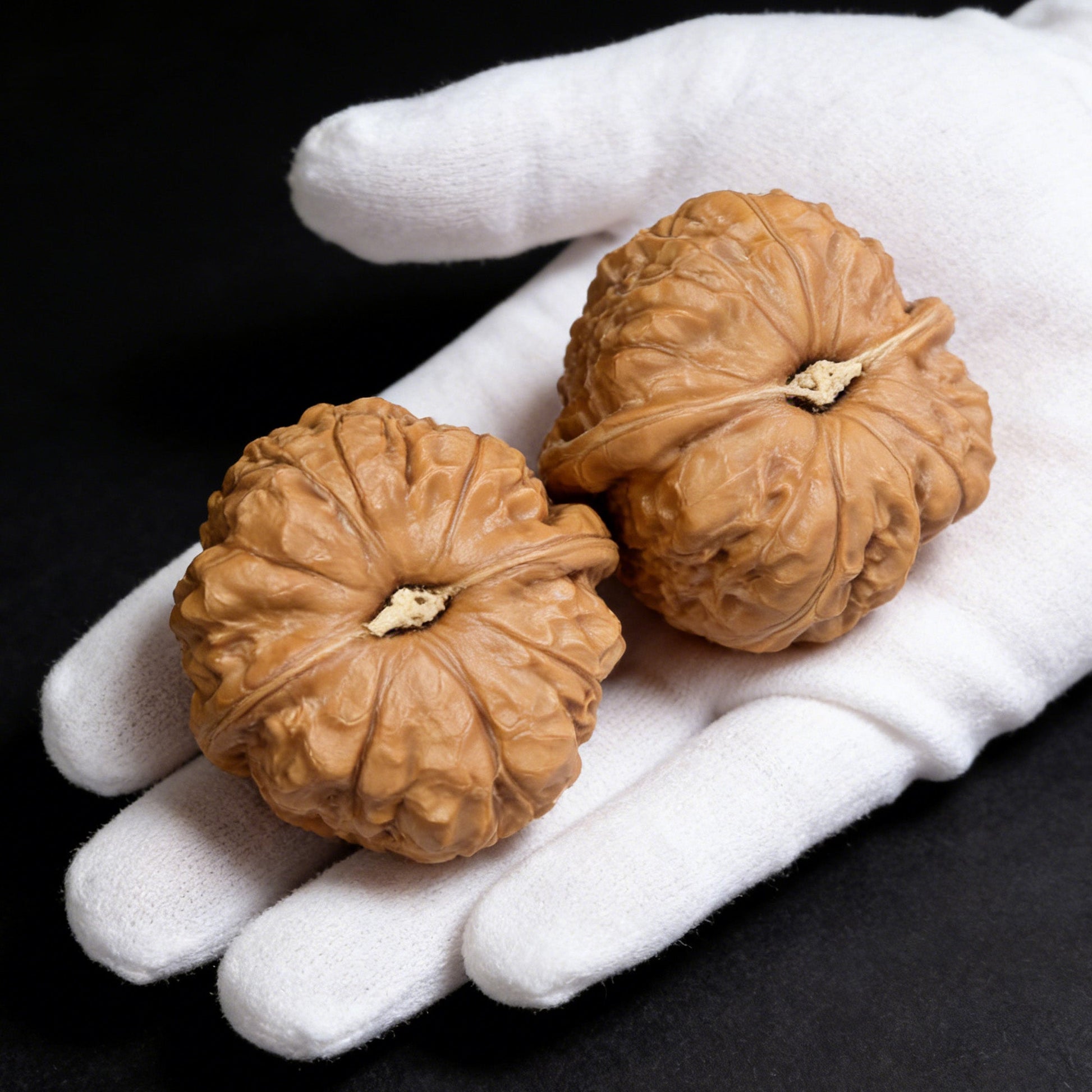 The "Pumpkin Block" (Nan Gua Dun) Pair | 45.0mm x 40.0mm | NGD-04 - ThePatinaProject