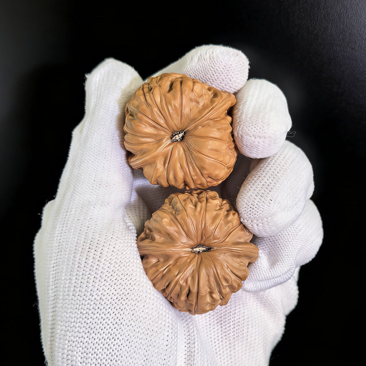 The "Pumpkin Cushion" (Nanguadun) Pair | 37.0mm | Collector Level | NGD-03 - ThePatinaProject