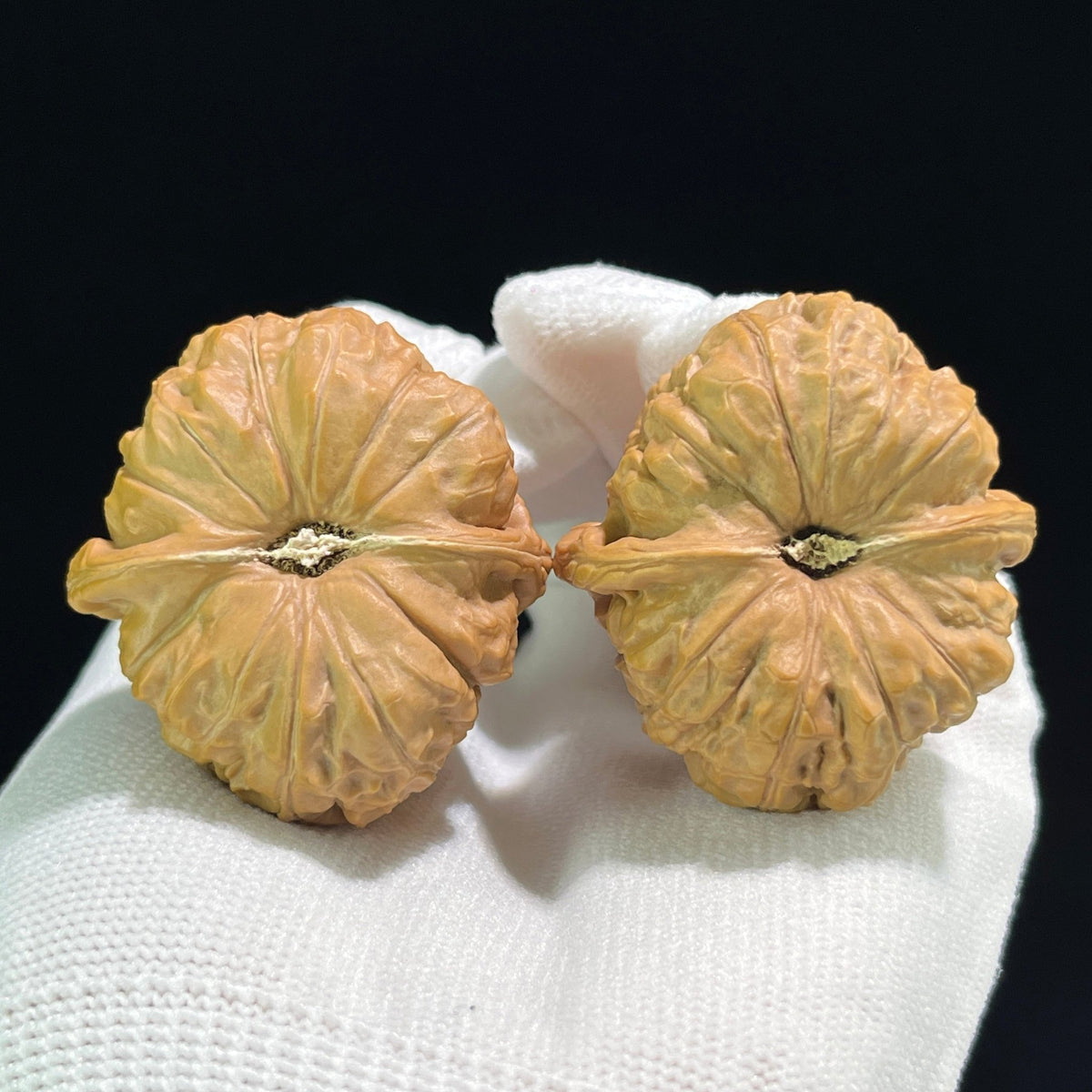 The "Pumpkin Pier" (Nan Gua Dun) Deep-Belly Squatted Pair | 39.0mm x 42.0mm | NGD-703 - ThePatinaProject