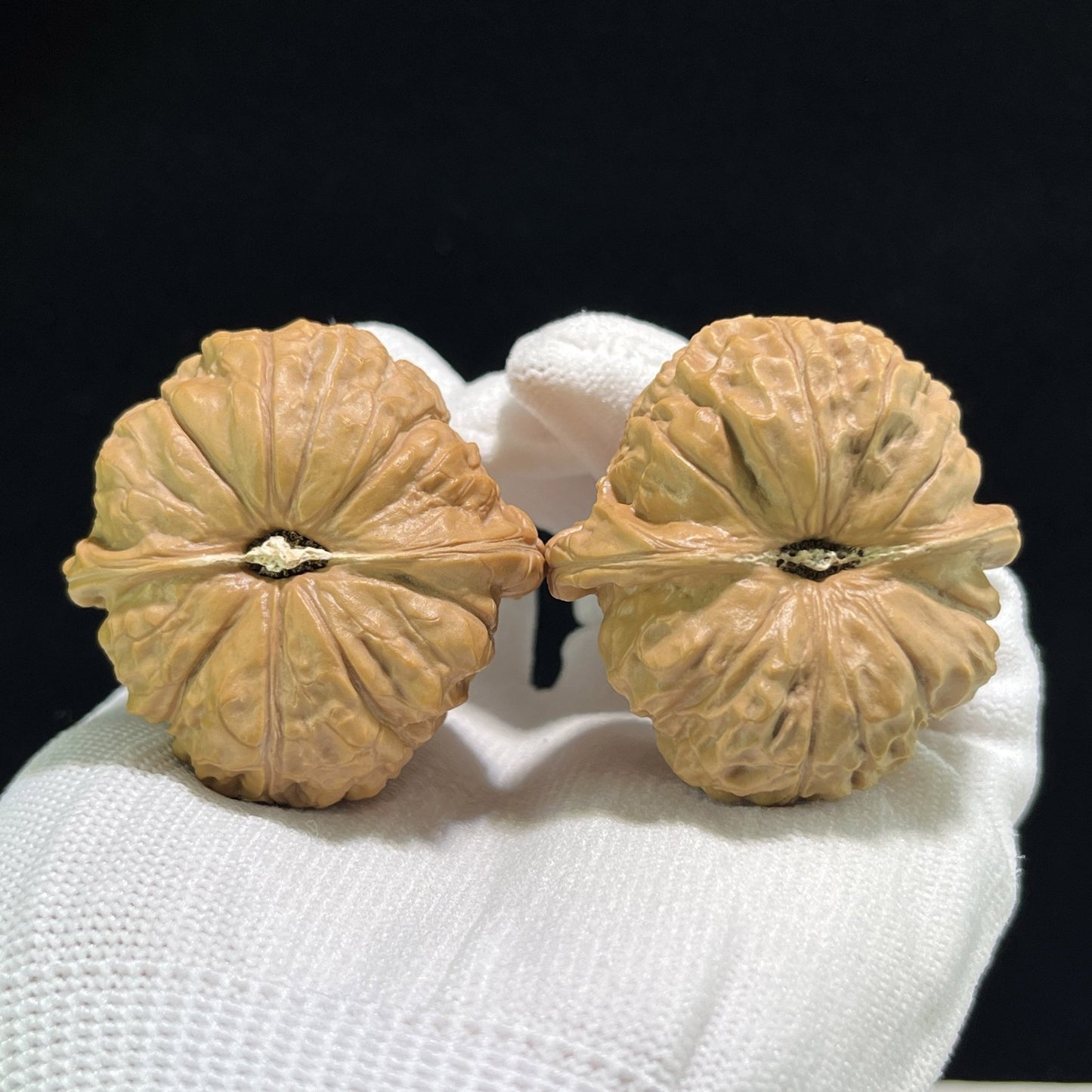 The "Pumpkin Squat" (Nan Gua Dun) Flawless Giant Pair | 43.0mm x 43.0mm | NGD-901 - ThePatinaProject