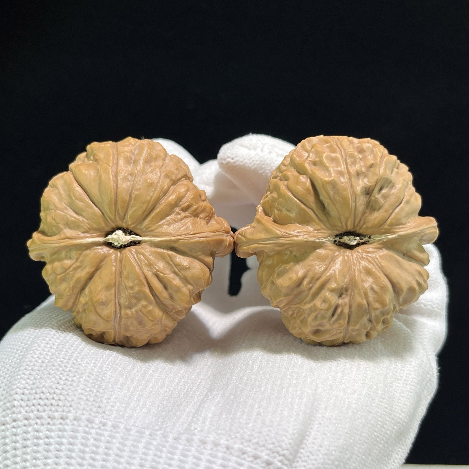 The "Pumpkin Squat" (Nan Gua Dun) Flawless Giant Pair | 43.0mm x 43.0mm | NGD-901 - ThePatinaProject