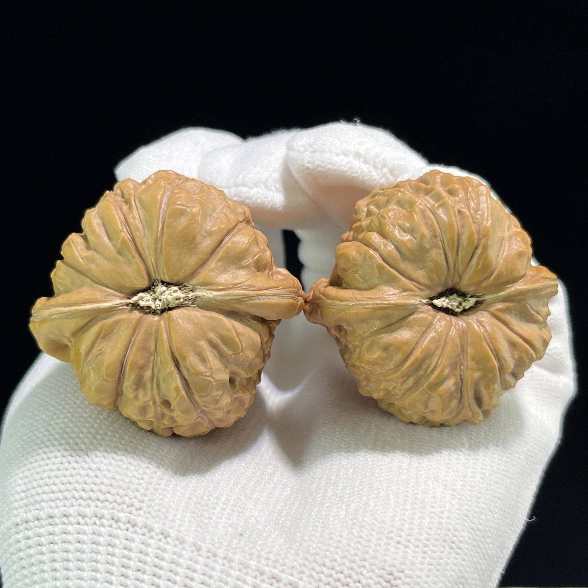 The "Pumpkin Squat" (Nan Gua Dun) Giant Balanced Pair | 42.0mm x 41.0mm | NGD-701 - ThePatinaProject