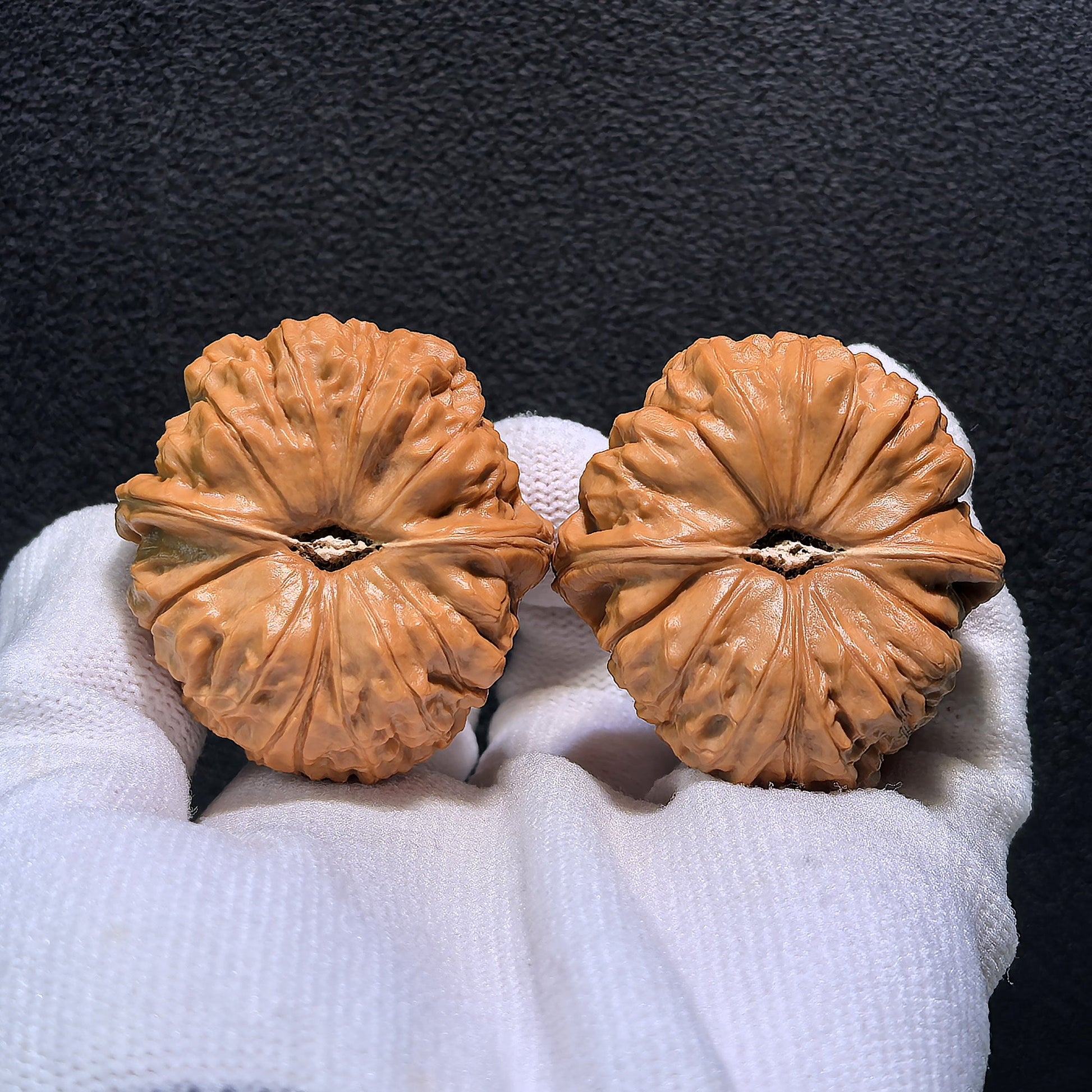 The "Pumpkin Squat" (Nan Gua Dun) Pair | 41.0mm x 43.0mm | NGD-402 - ThePatinaProject