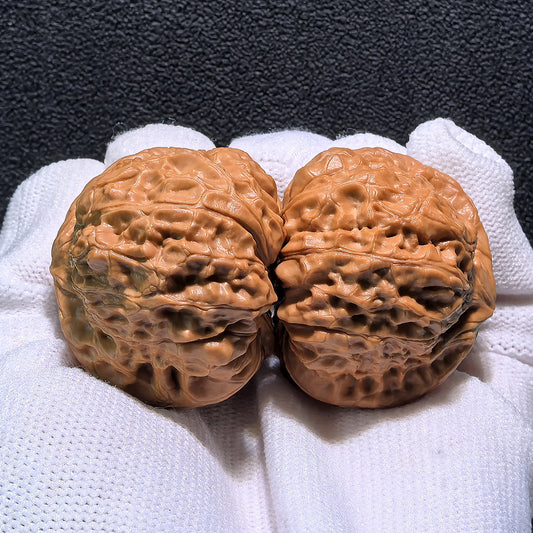 The "Pumpkin Squat" (Nan Gua Dun) Pair | 41.0mm x 43.0mm | NGD-402 - ThePatinaProject
