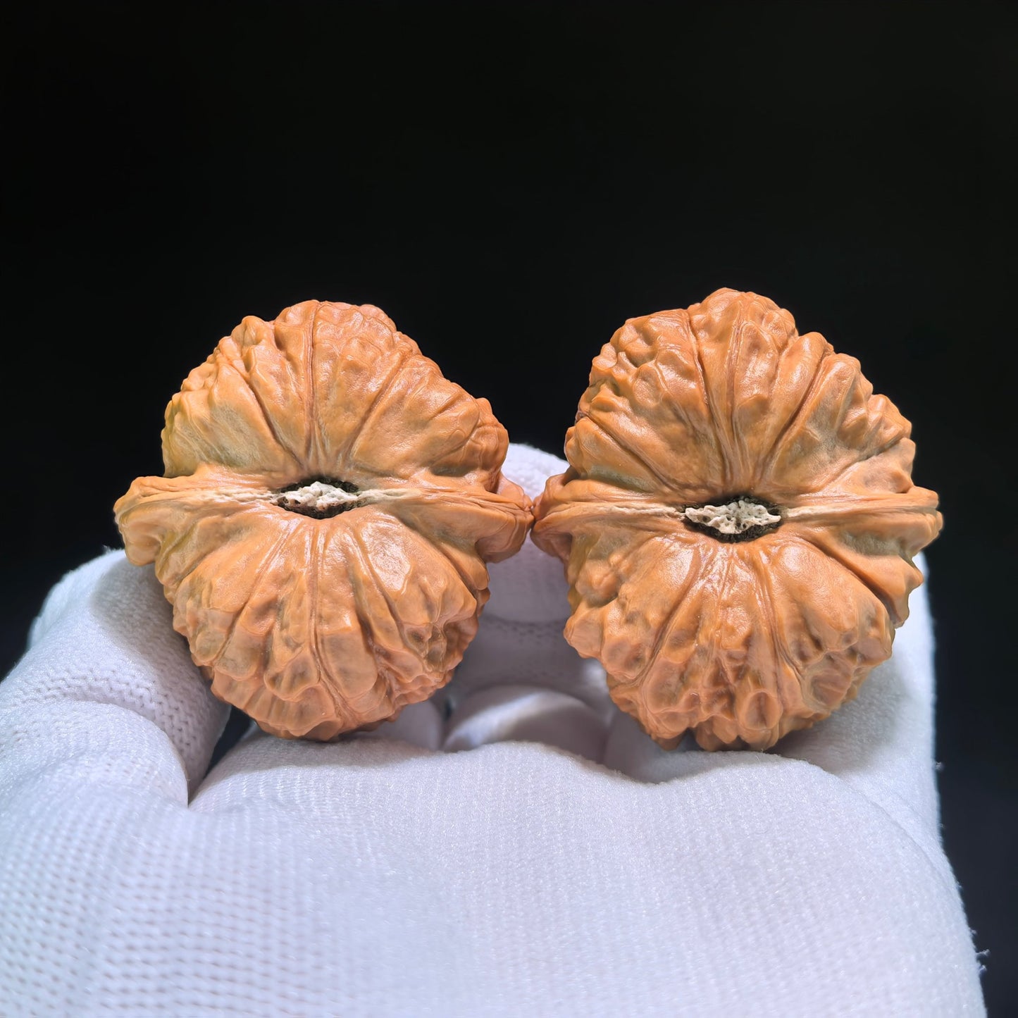 The "Pumpkin Squat" (Nan Gua Dun) Pair | 41.0mm x 44.0mm | NGD-601 - ThePatinaProject