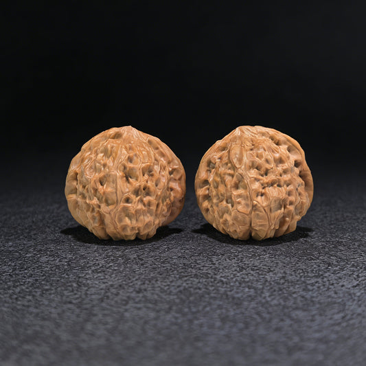 The "Pumpkin Squat" (Nan Gua Dun) Pair | 41.0mm x 44.0mm | NGD-601 - ThePatinaProject