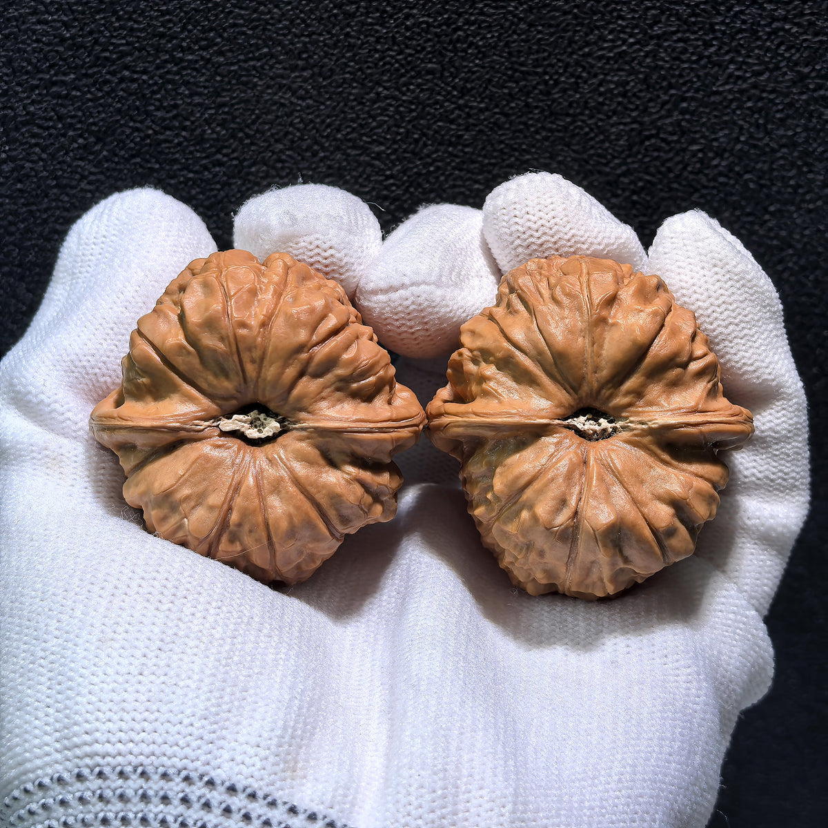 The "Pumpkin Squat" (Nan Gua Dun) Pair | 42.0mm x 42.0mm | NGD-401 - ThePatinaProject