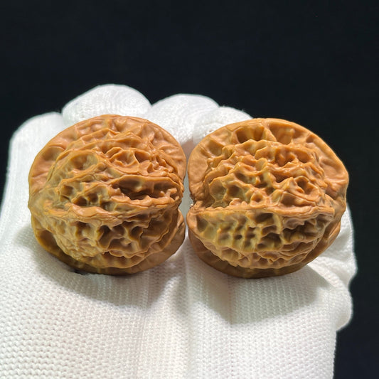 The "Qin Gong Zi" Pair | 38.0mm x 35.0mm | QGZ-601 - ThePatinaProject