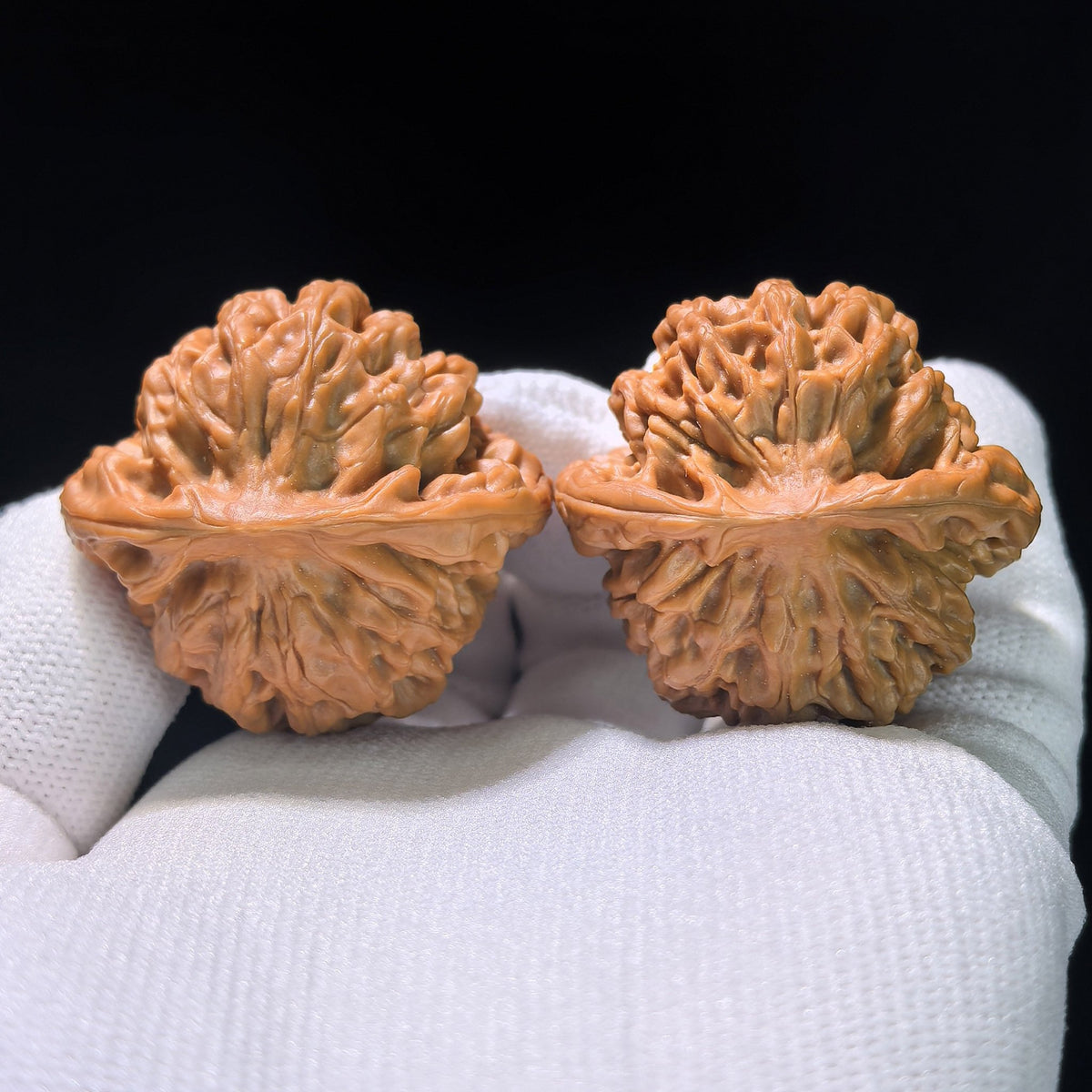 The "Qin Men" (Classic Squat) Matched Pair | 38.0mm x 38.0mm | QM-1201C - ThePatinaProject