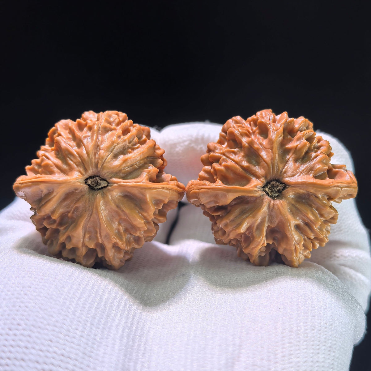 The "Qin Men Lion Head" Perfectly Balanced Boutique Pair | 39.0mm x 37.0mm | QM-1202C - ThePatinaProject