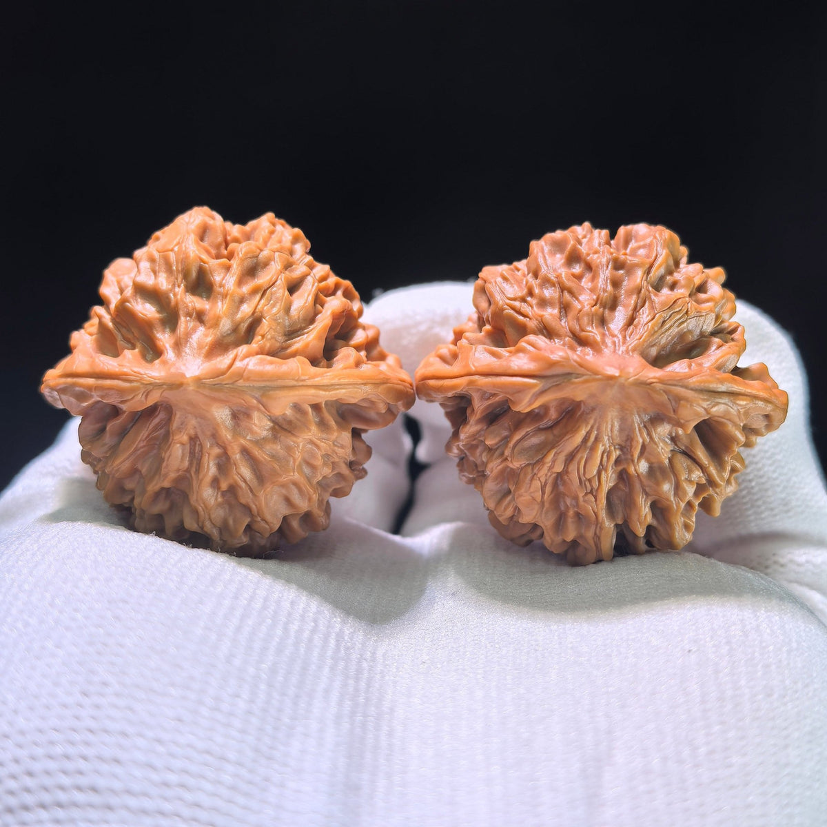 The "Qin Men Lion Head" Perfectly Balanced Boutique Pair | 39.0mm x 37.0mm | QM-1202C - ThePatinaProject