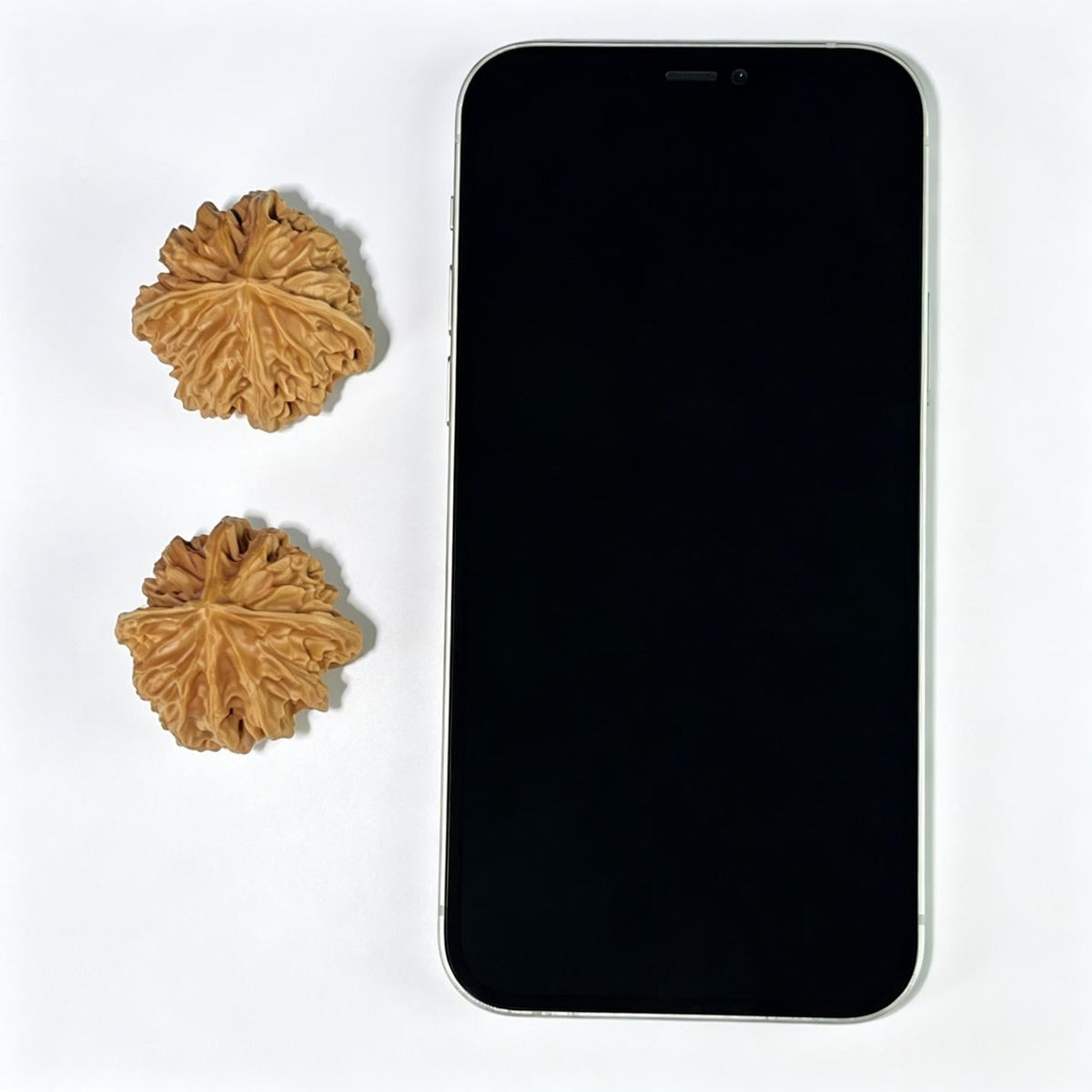The "Qishan Four-Ribbed" (Qi Shan Si Leng) Rare Mutation Pair | 36.0mm x 34.0mm | Compact Shou Nian Format | QSSL-1003 - ThePatinaProject