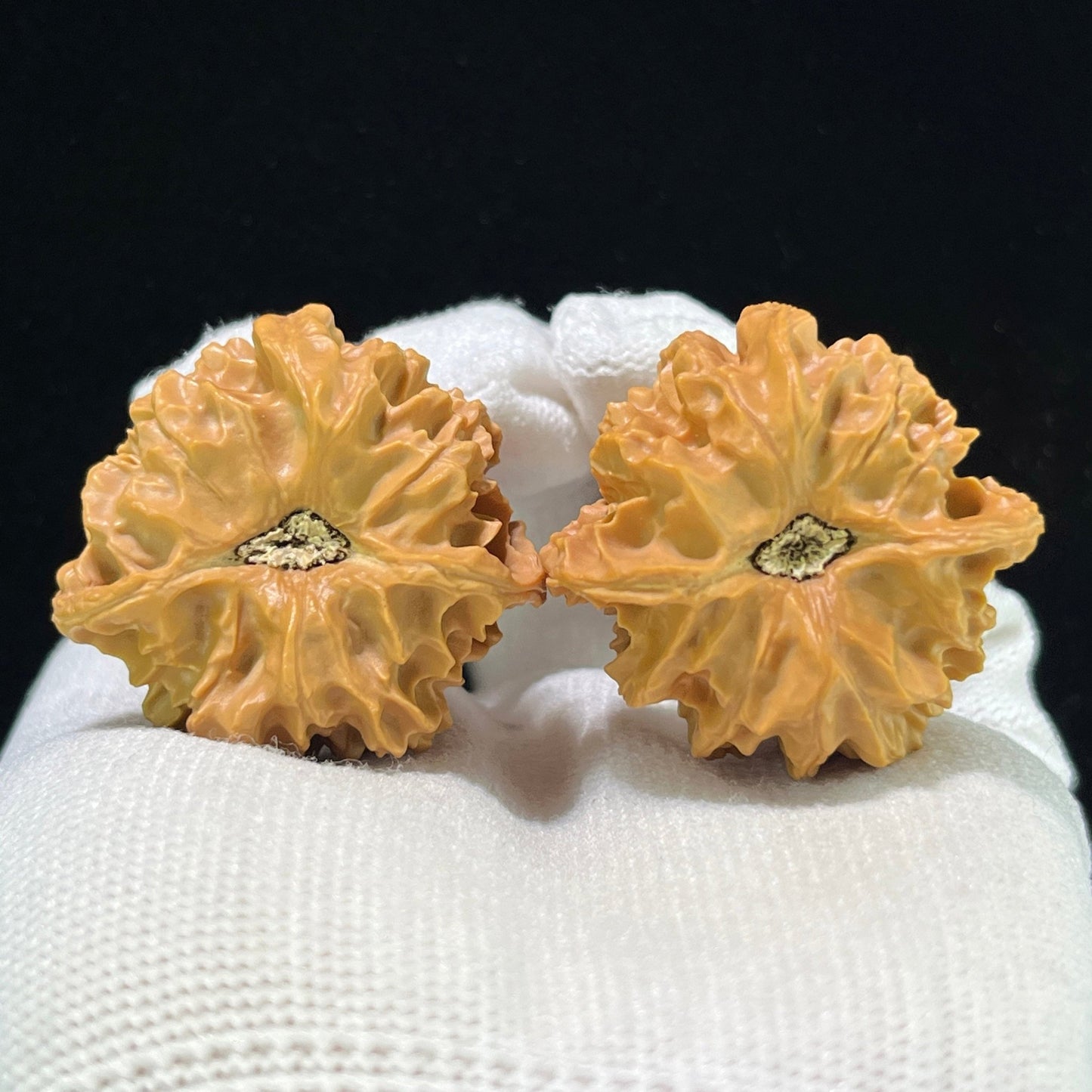 The "Qishan Four-Ribbed" (Qi Shan Si Leng) Rare Mutation Pair | 36.0mm x 34.0mm | Compact Shou Nian Format | QSSL-1003 - ThePatinaProject