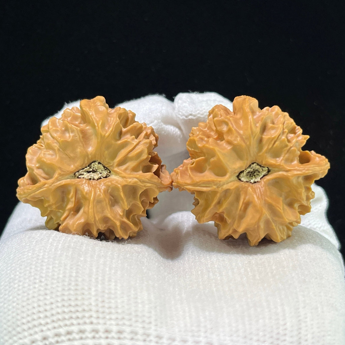 The "Qishan Four-Ribbed" (Qi Shan Si Leng) Rare Mutation Pair | 36.0mm x 34.0mm | Compact Shou Nian Format | QSSL-1003 - ThePatinaProject