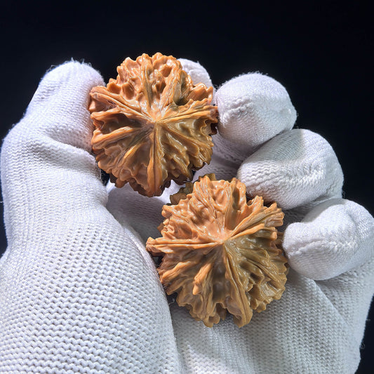 The "Qishan" Trident Three-Ridge Pair | 32.0mm x 35.0mm | QSSN-1204E - ThePatinaProject