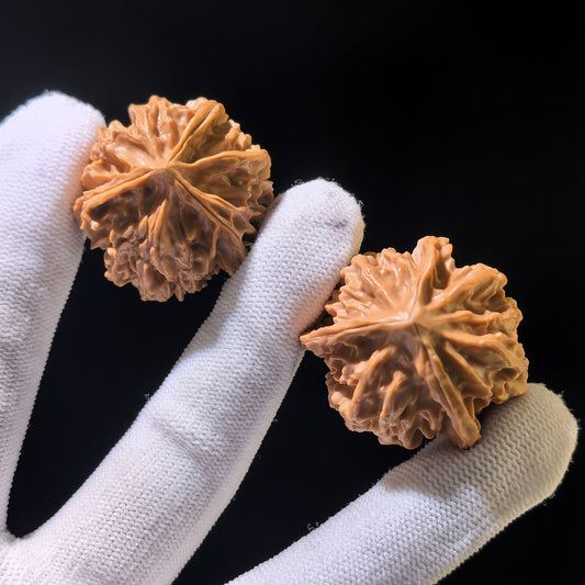 The "Qishan" Trident Three-Ridge Pair | 33.0mm x 32.0mm | QSSN-1203E - ThePatinaProject