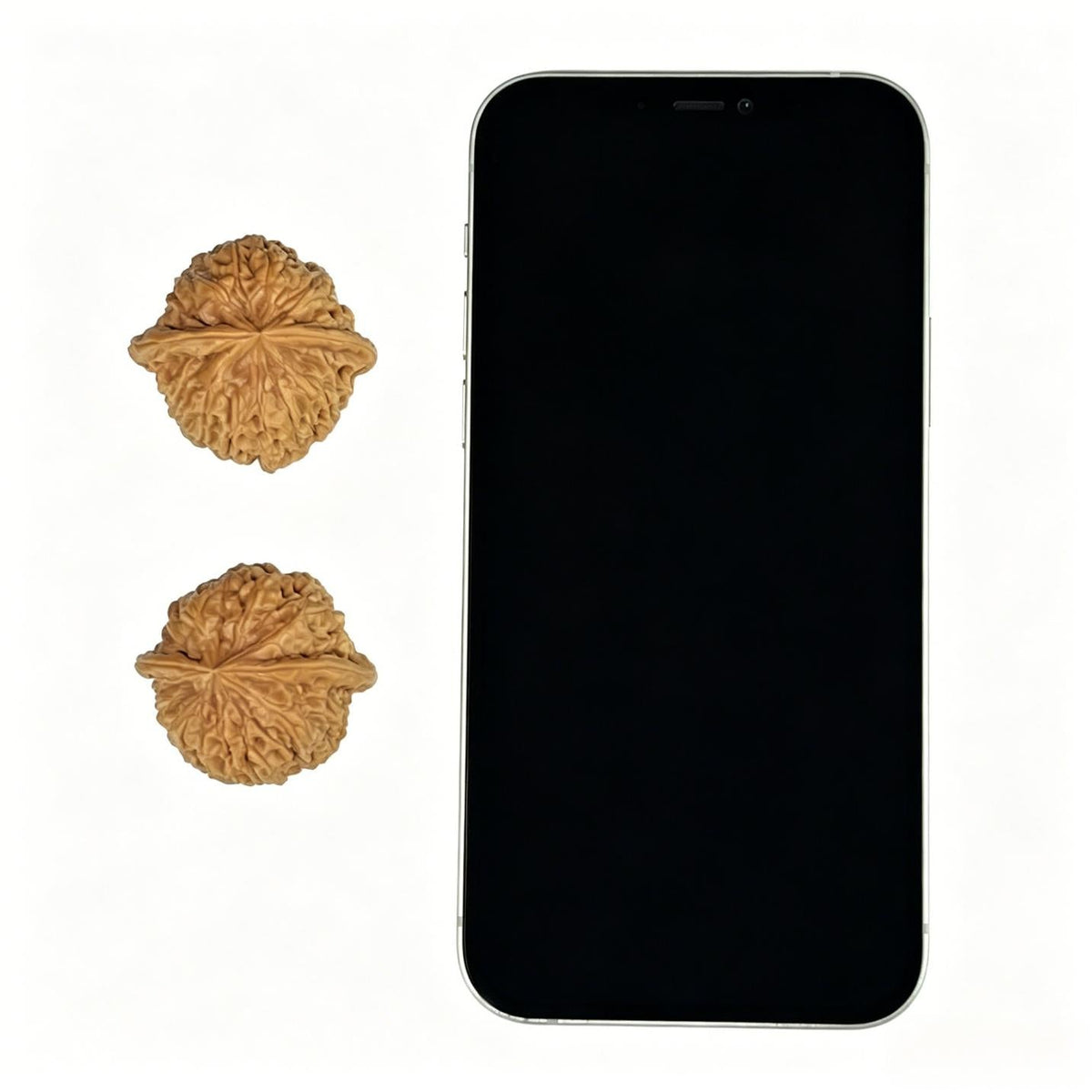 The "Rainflower Pebble" (Yu Hua Shi) Premium Balanced Pair | 37.0mm x 34.0mm | Compact Pocket Format | YHS-1001 - ThePatinaProject