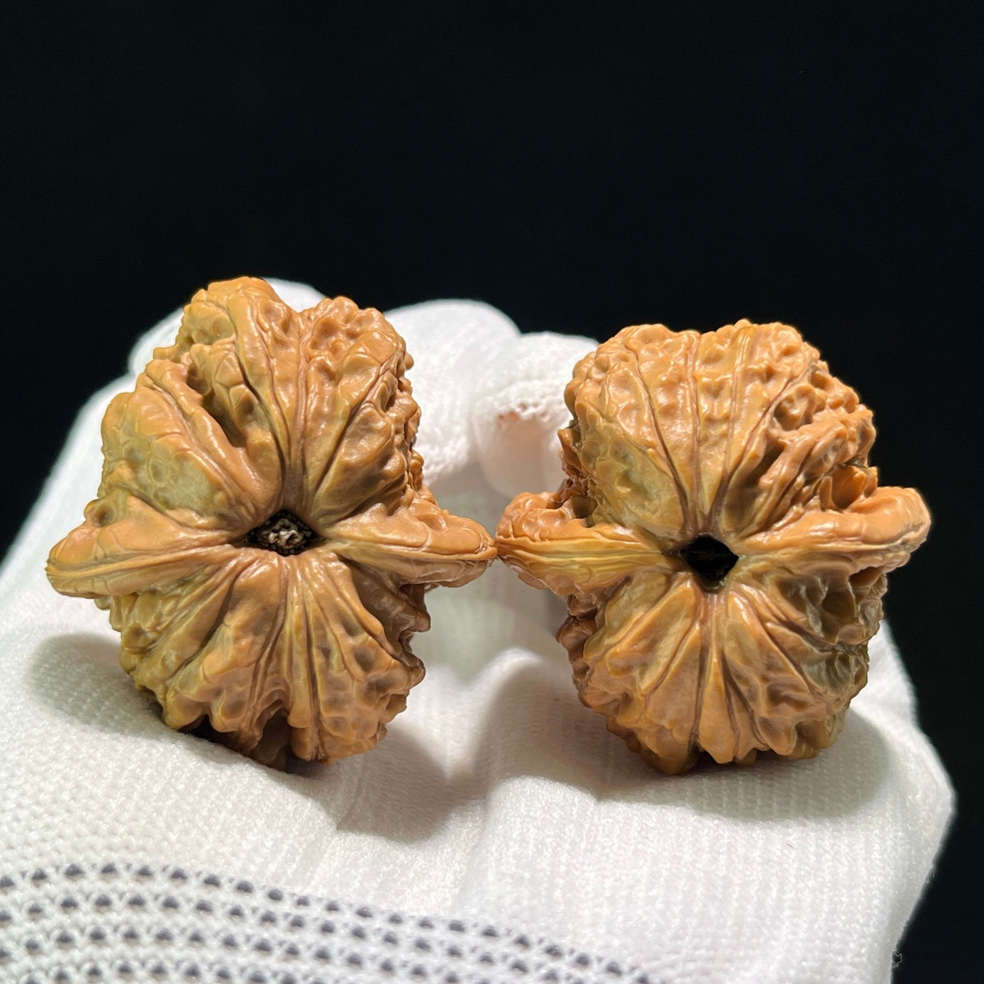 The Rare "Blood Qilin" (Xue Qi Lin) Premier Pair | Boutique Grade | 37.0mm x 37.0mm | XQL-602 - ThePatinaProject