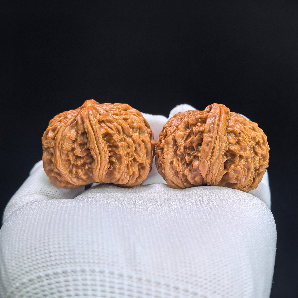 The Rare "Half-Wall White Lion" Baishizi Banbi Lion Head Masterpiece | 37.0mm x 42.0mm | BSJBB-401E - ThePatinaProject