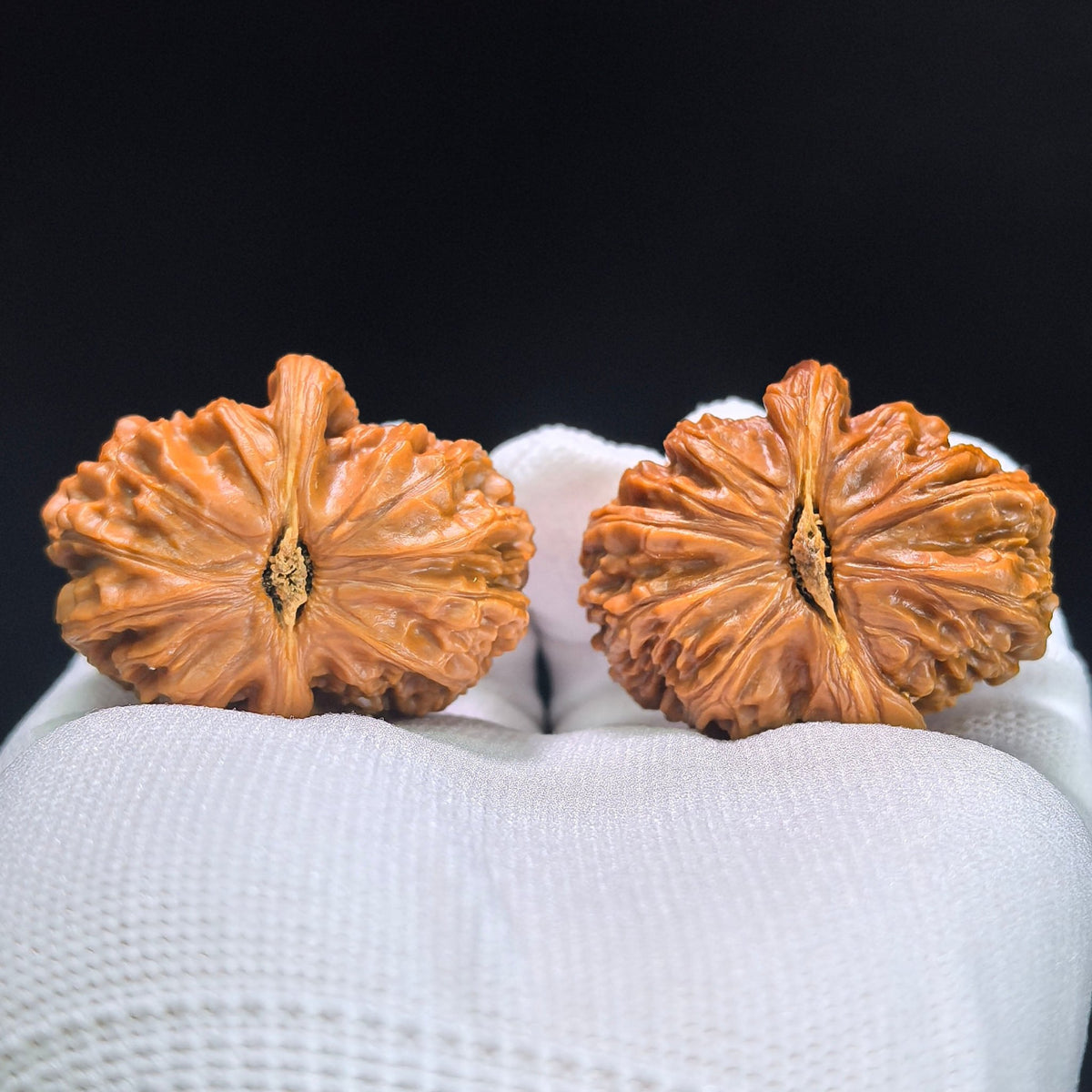 The Rare "Half-Wall White Lion" Baishizi Banbi Lion Head Masterpiece | 37.0mm x 42.0mm | BSJBB-401E - ThePatinaProject