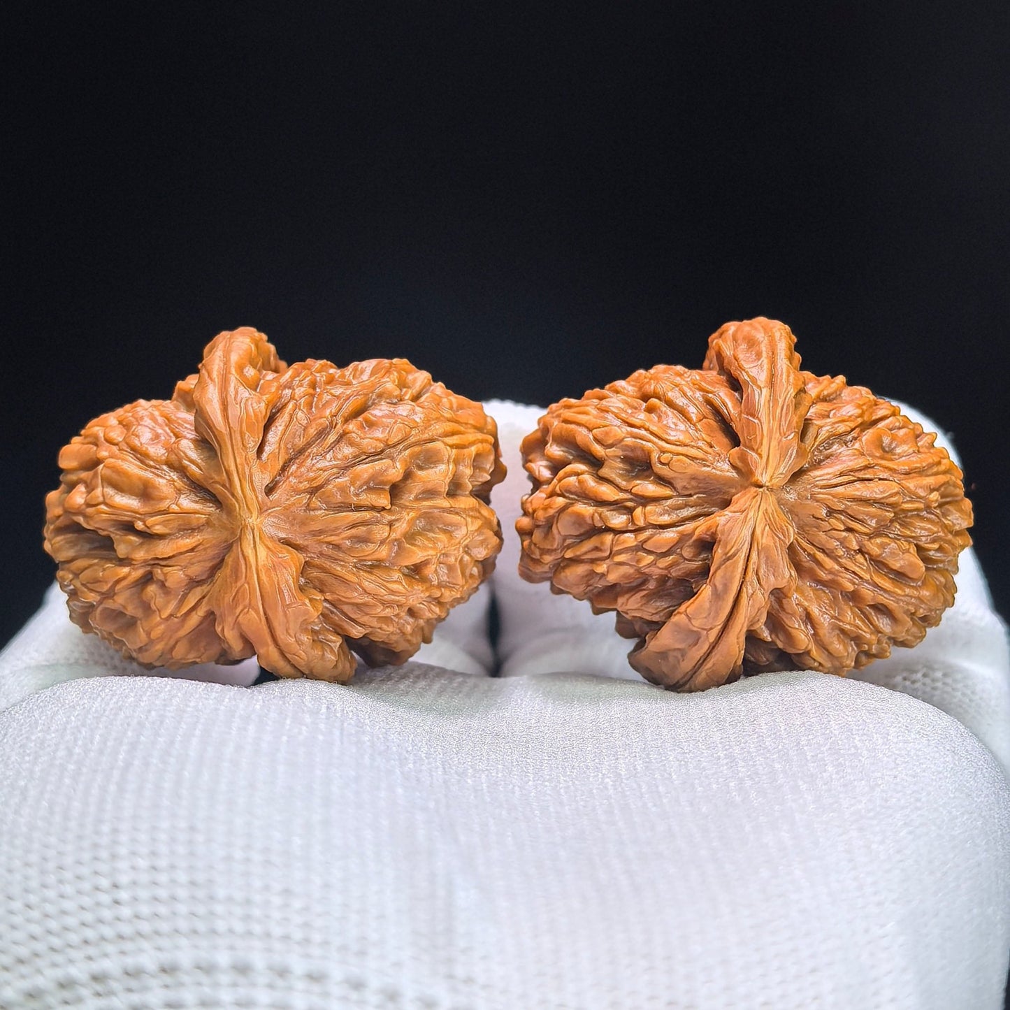 The Rare "Half-Wall White Lion" Baishizi Banbi Lion Head Masterpiece | 37.0mm x 42.0mm | BSJBB-401E - ThePatinaProject
