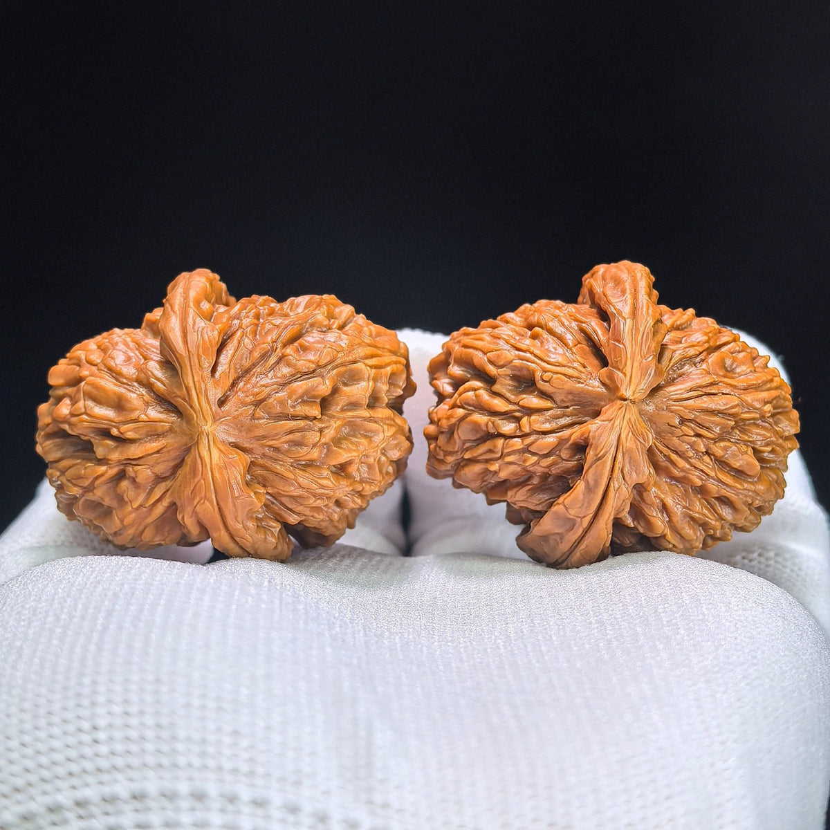 The Rare "Half-Wall White Lion" Baishizi Banbi Lion Head Masterpiece | 37.0mm x 42.0mm | BSJBB-401E - ThePatinaProject