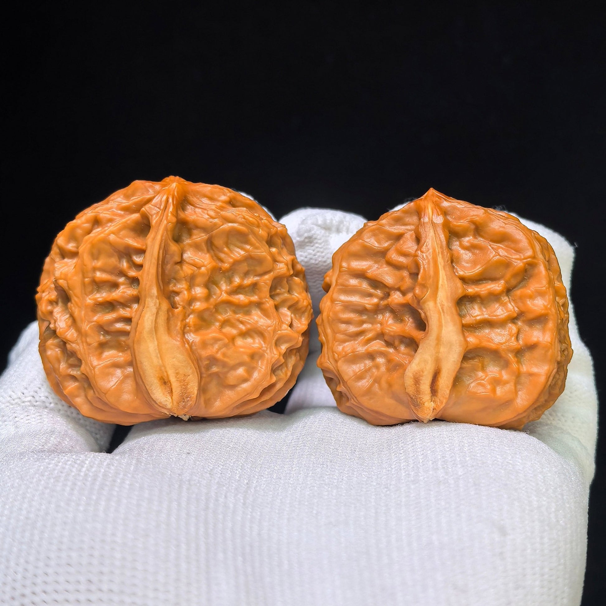The Rare "Half-Wall White Lion" Baishizi Banbi Lion Head Pocket Masterpiece | 30.0mm x 41.0mm | BBZBB-401E - ThePatinaProject