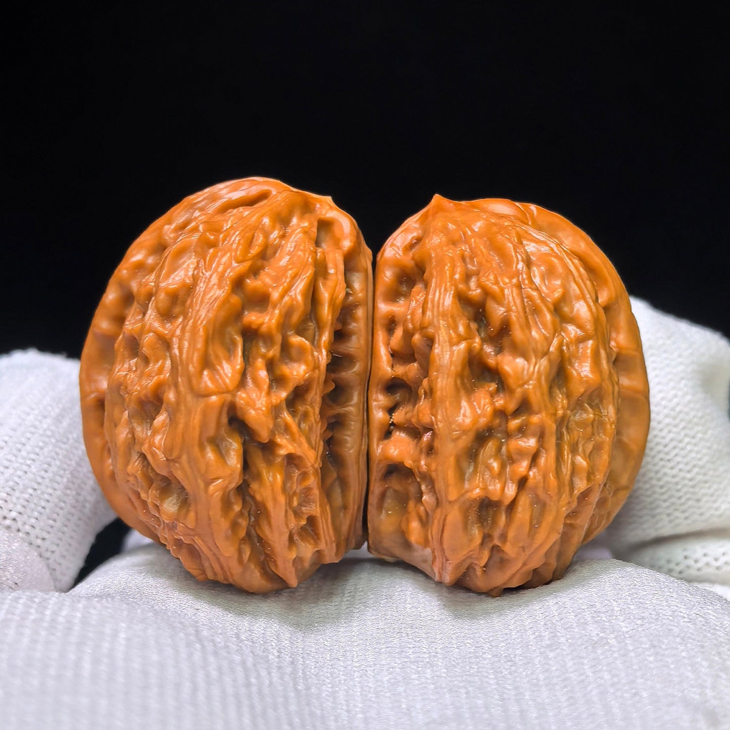 The Rare "Half-Wall White Lion" Baishizi Banbi Lion Head Pocket Masterpiece | 30.0mm x 41.0mm | BBZBB-401E - ThePatinaProject