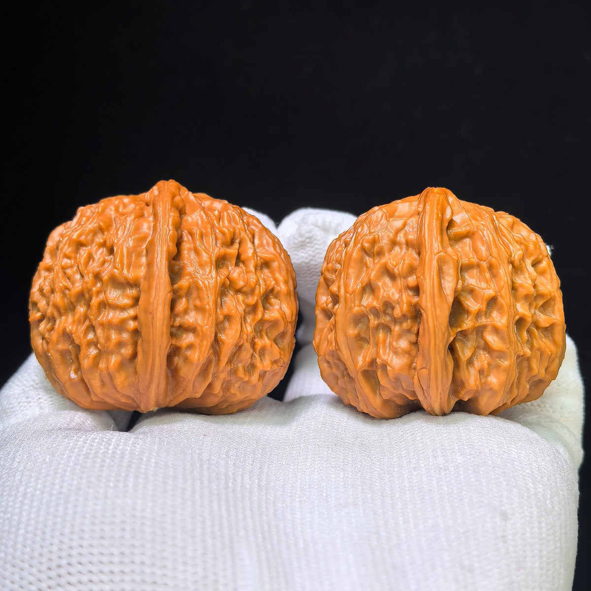 The Rare "Half-Wall White Lion" Baishizi Banbi Lion Head Pocket Masterpiece | 30.0mm x 41.0mm | BBZBB-401E - ThePatinaProject