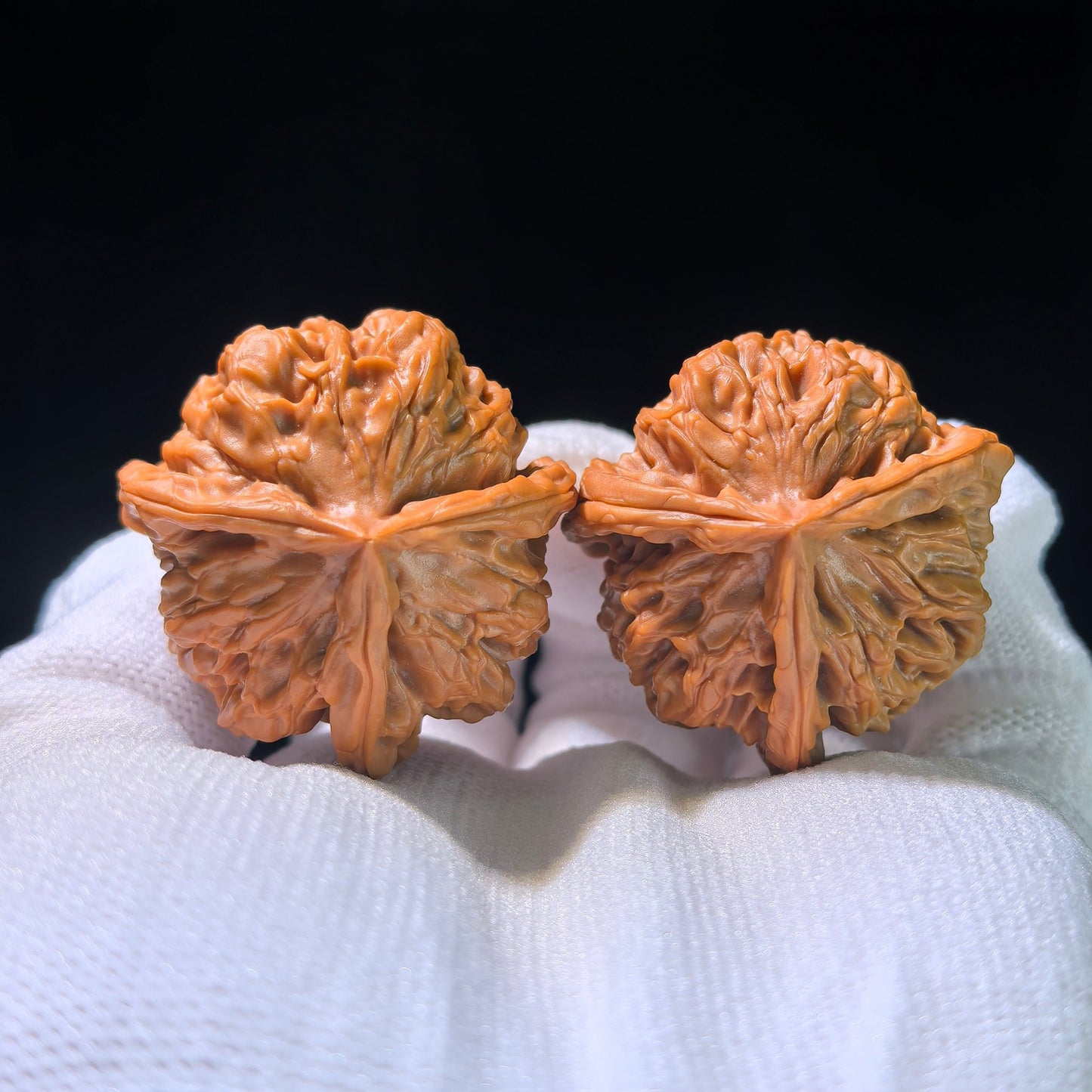 The Rare "Hundred Longevity Lion's Head" Triangle Collector's Pair | 37.0mm x 37.0mm x 35.0mm | BSSZT3N-1001E - ThePatinaProject