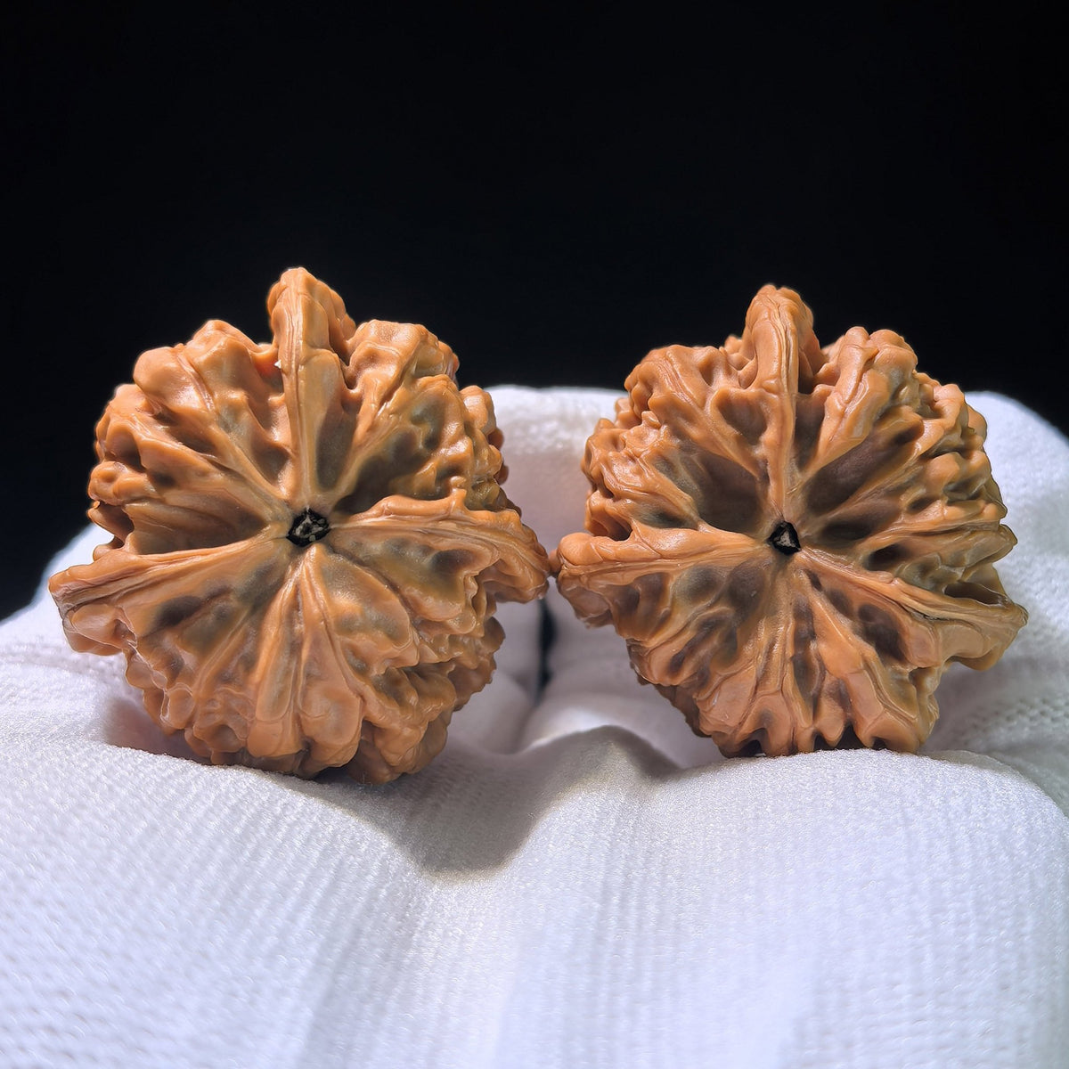 The Rare "Hundred Longevity Lion's Head" Triangle Collector's Pair | 37.0mm x 37.0mm x 35.0mm | BSSZT3N-1001E - ThePatinaProject
