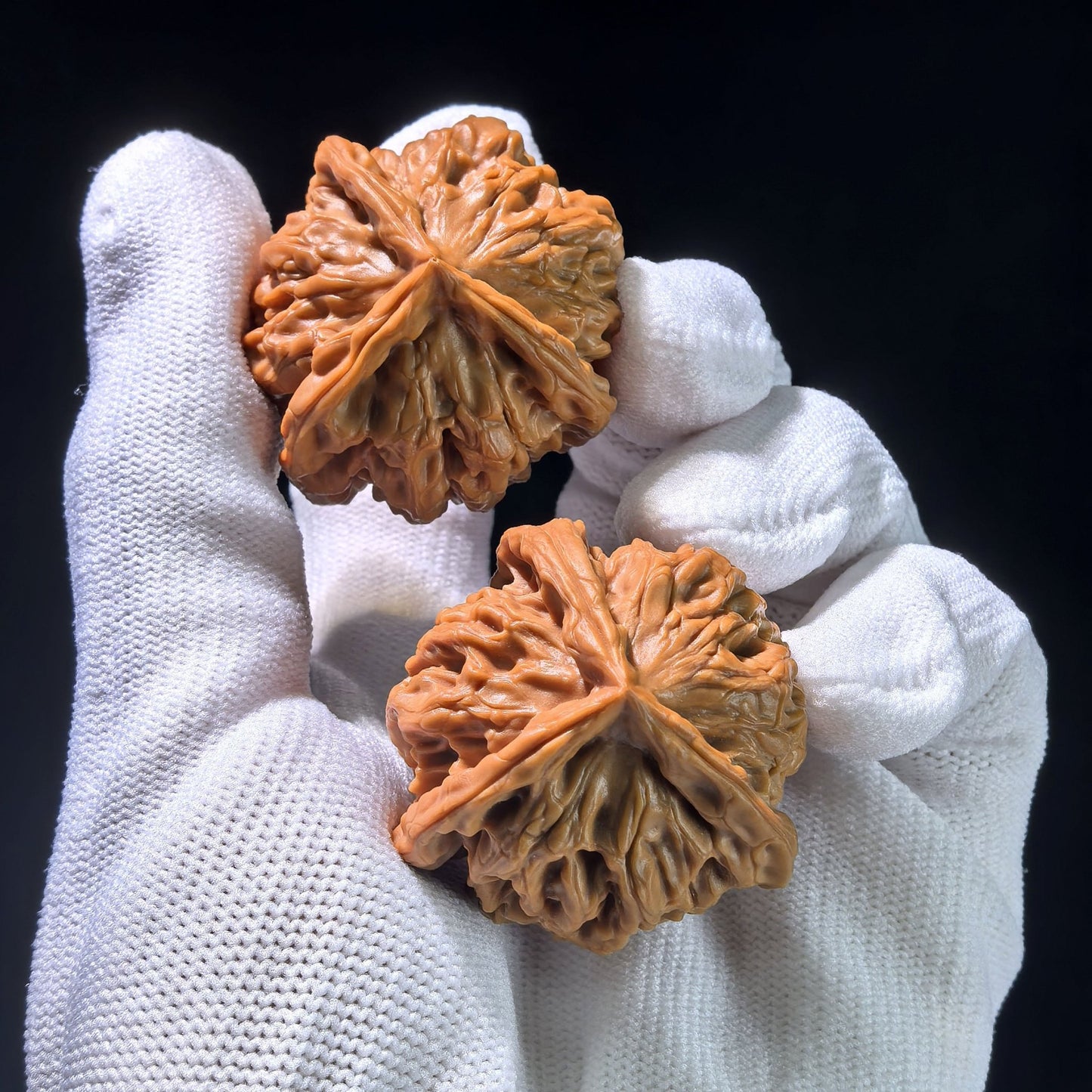 The Rare "Hundred Longevity Lion's Head" Triangle Collector's Pair | 37.0mm x 37.0mm x 35.0mm | BSSZT3N-1001E - ThePatinaProject