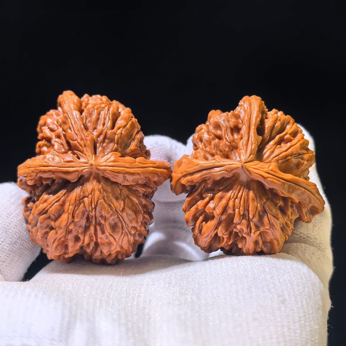 The Rare "Lion Head" Trident Three-Ridge Pair | 39.0mm x 46.0mm | SZTSN-1201E - ThePatinaProject
