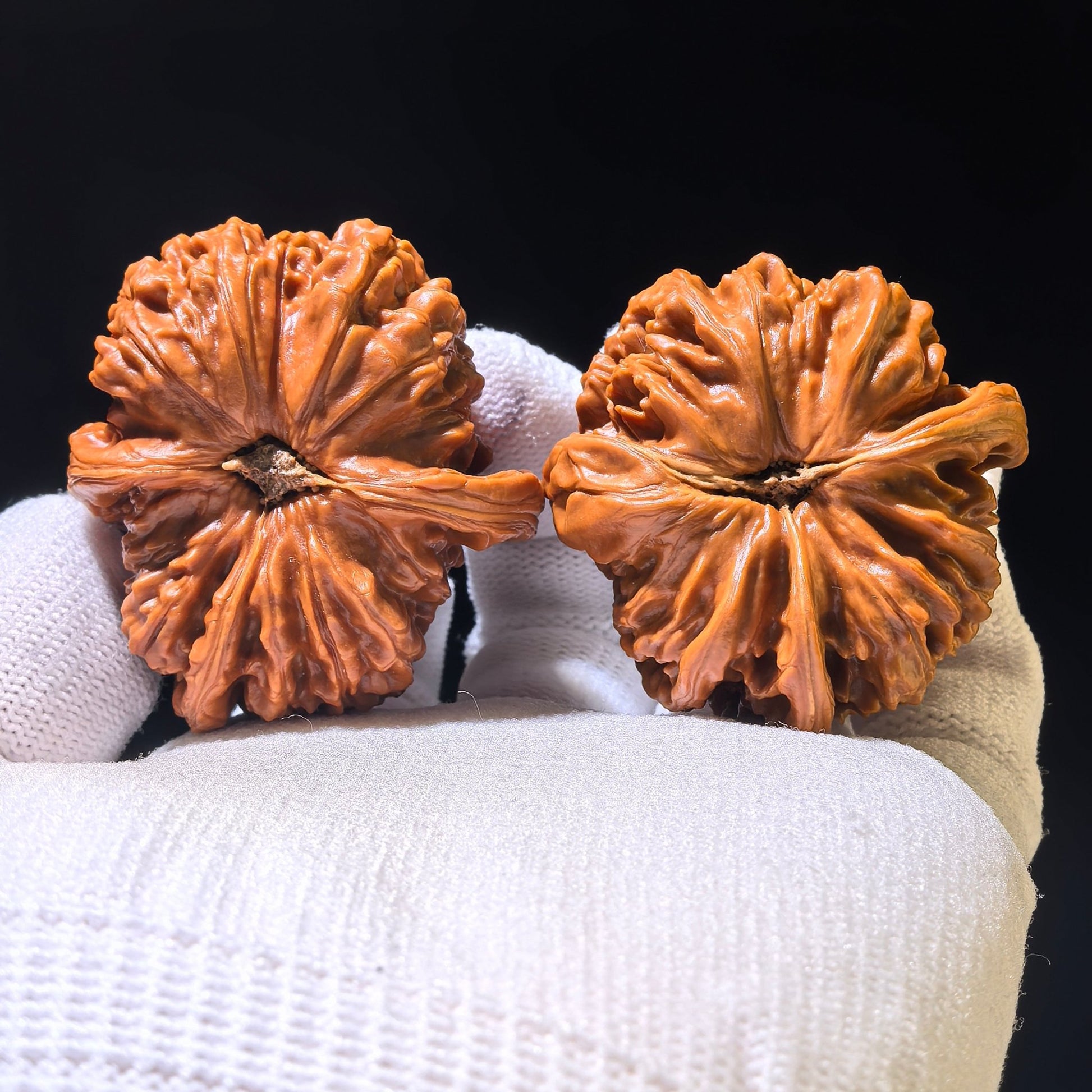 The Rare "Lion Head" Trident Three-Ridge Pair | 39.0mm x 46.0mm | SZTSN-1201E - ThePatinaProject