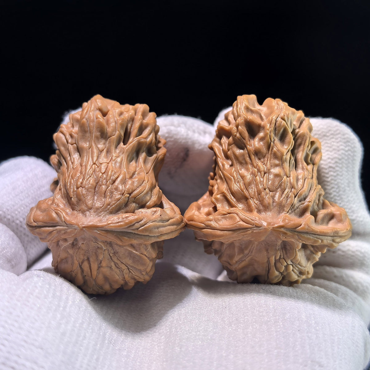 The Rare "Little Bird" (Xiao Niao) Morphological Pair | 32.0mm x 38.0mm | YXXL-1203E - ThePatinaProject