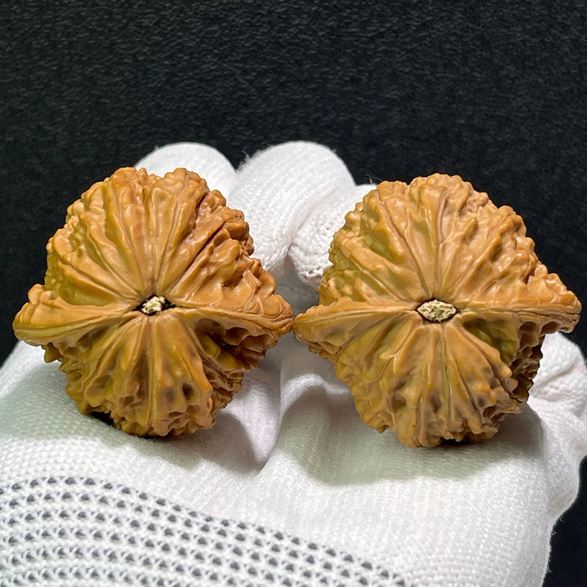 The Rare "Millstone Tian Can Jiao" (Asymmetric Base) Pair | 37.0mm x 35.0mm | MP-601 - ThePatinaProject