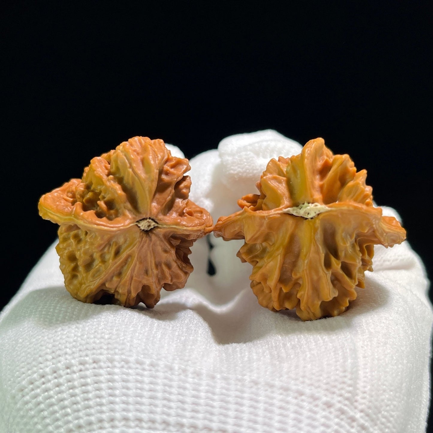 The Rare "Mutated Little Bird" (Yi Xing Xiao Niao) Asymmetrical Pair | 38x35mm & 35x34mm | YXXL-801 - ThePatinaProject