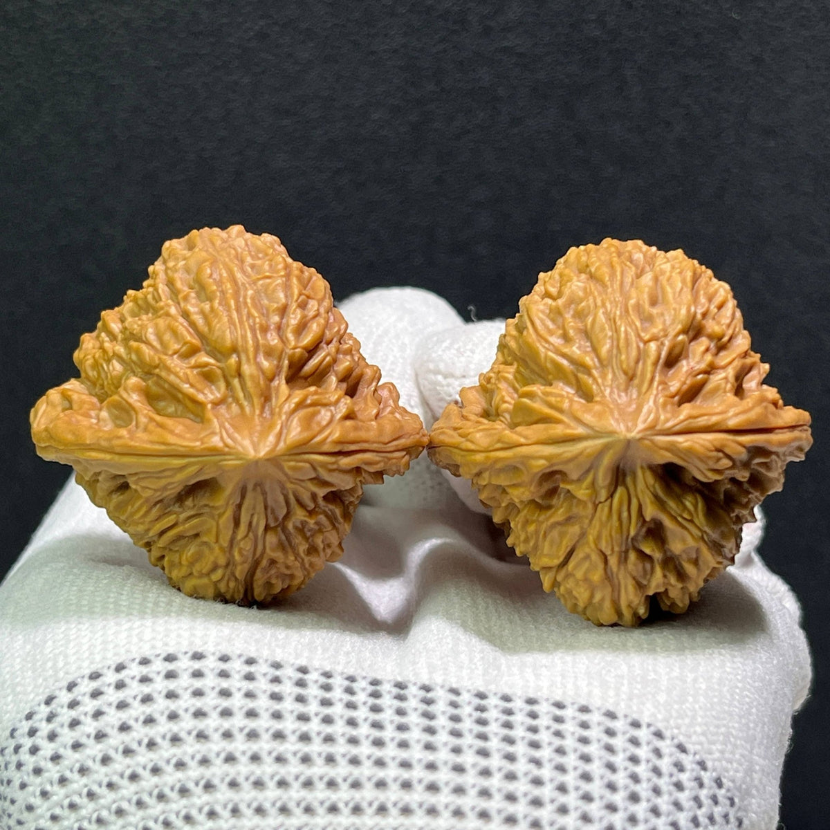 The Rare NJS "Tian Can Jiao" (Asymmetric Base) Balanced Pair | 39.0mm x 39.0mm | NJS-604 - ThePatinaProject