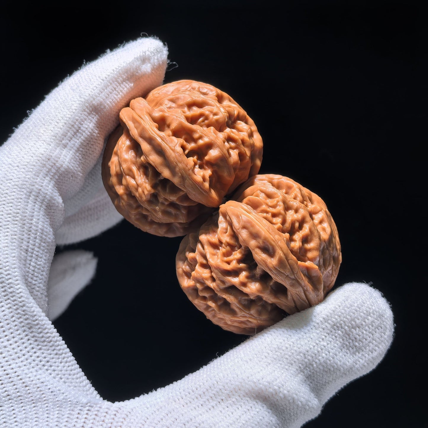 The Rare "Palace Lantern" Single-Ridge Mutation Pair | Collector Grade | 38.0mm x 35.0mm | GDSN-1201E - ThePatinaProject