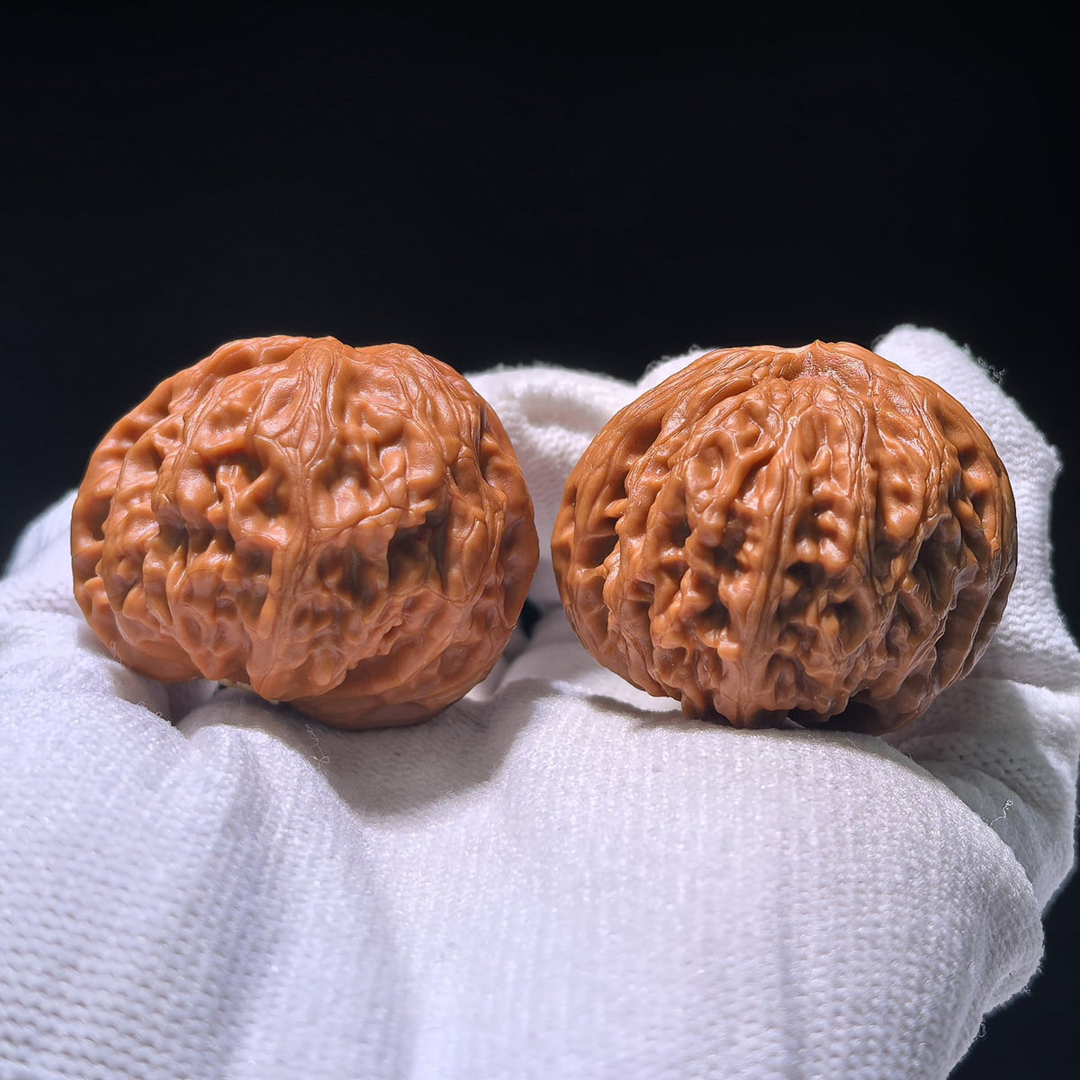The Rare "Palace Lantern" Single-Ridge Mutation Pair | Collector Grade | 38.0mm x 35.0mm | GDSN-1201E - ThePatinaProject