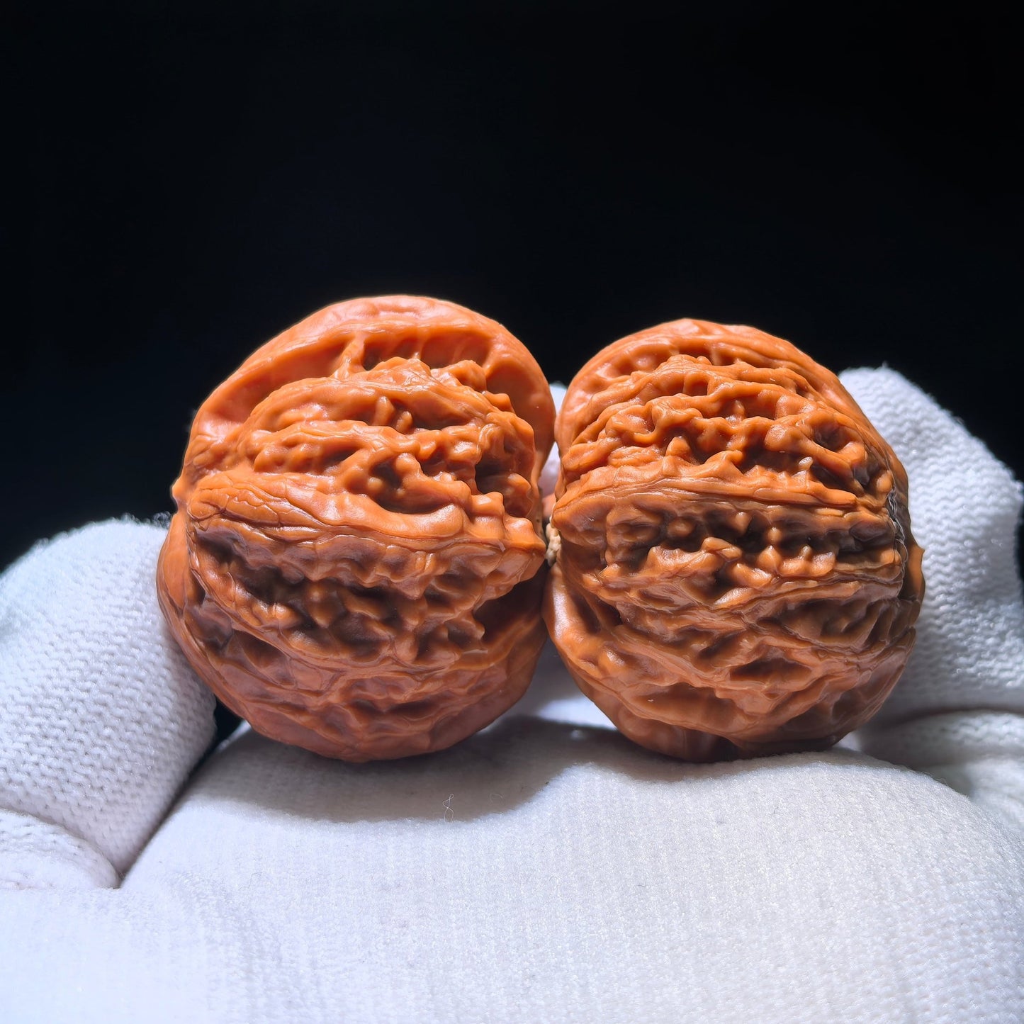 The Rare "Palace Lantern" Single-Ridge Mutation Pair | Collector Grade | 38.0mm x 35.0mm | GDSN-1201E - ThePatinaProject