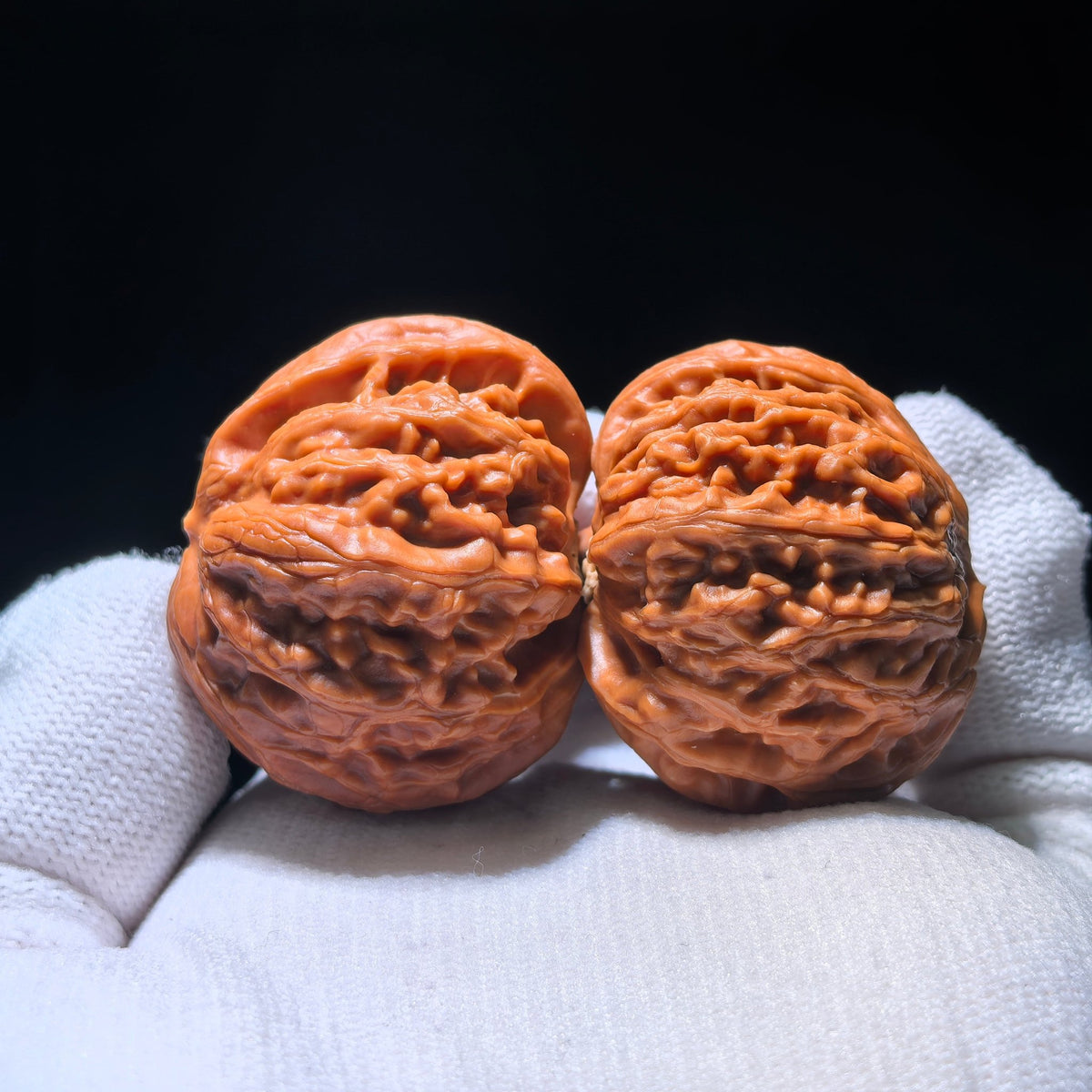 The Rare "Palace Lantern" Single-Ridge Mutation Pair | Collector Grade | 38.0mm x 35.0mm | GDSN-1201E - ThePatinaProject