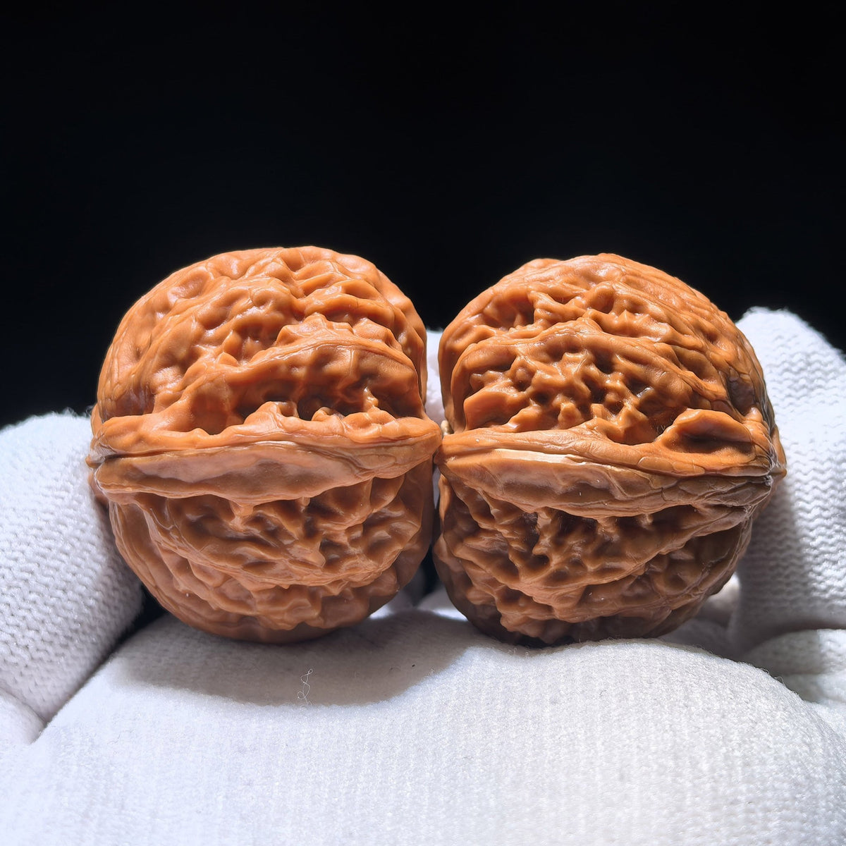 The Rare "Palace Lantern" Single-Ridge Mutation Pair | Collector Grade | 38.0mm x 35.0mm | GDSN-1201E - ThePatinaProject
