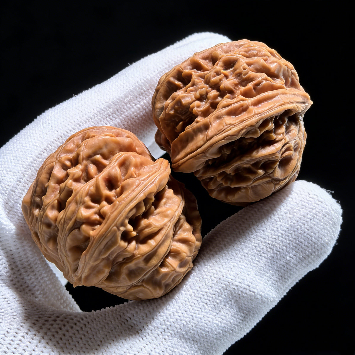 The Rare "Palace Lantern Snake" Collector's Pair | 38.0mm x 38.0mm x 32.0mm | GDS-001E - ThePatinaProject