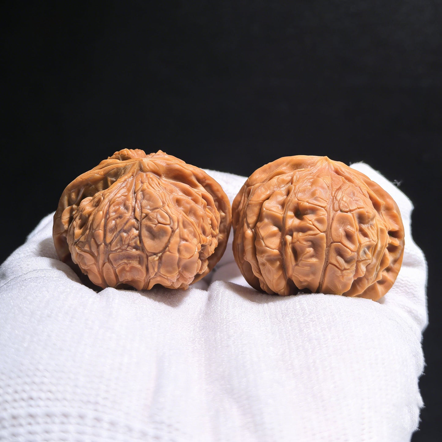 The Rare "Palace Lantern Snake" Collector's Pair | 38.0mm x 38.0mm x 32.0mm | GDS-001E - ThePatinaProject